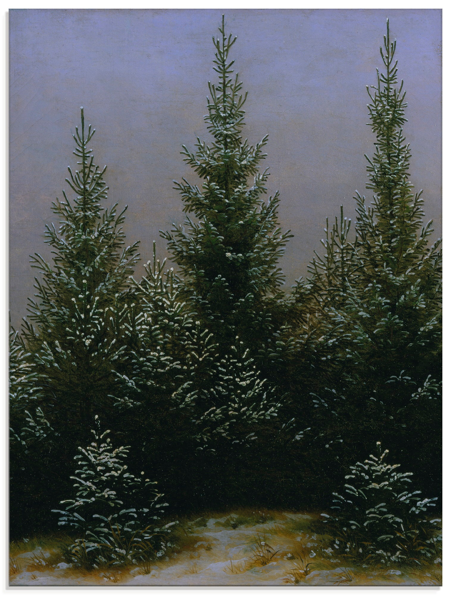 Image of Artland Glasbild »Fichtendickicht im Schnee Dresdner Heide«, Bäume, (1 St.) bei Ackermann Versand Schweiz