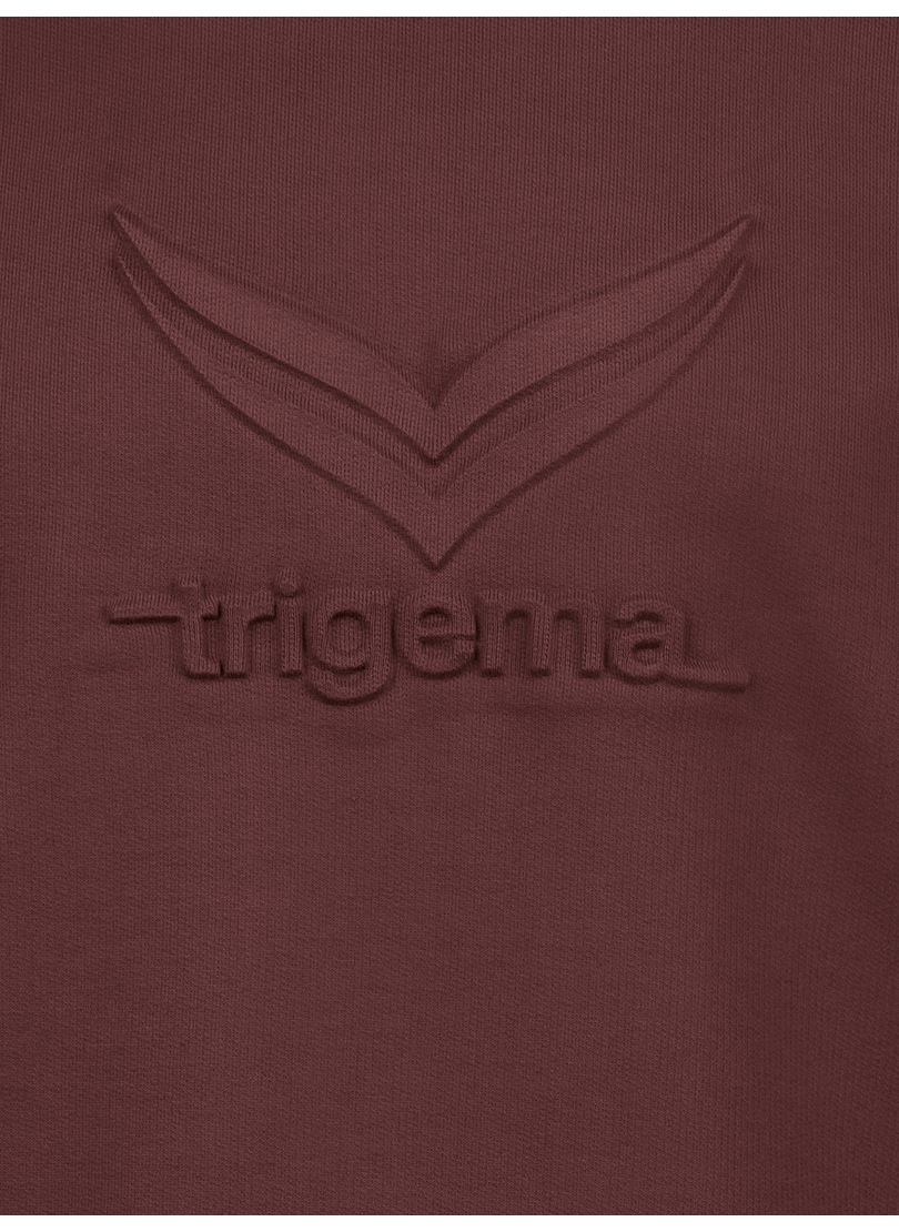 Trigema Kapuzensweatshirt »TRIGEMA Kapuzenpullover mit grossem 3D-Motiv«
