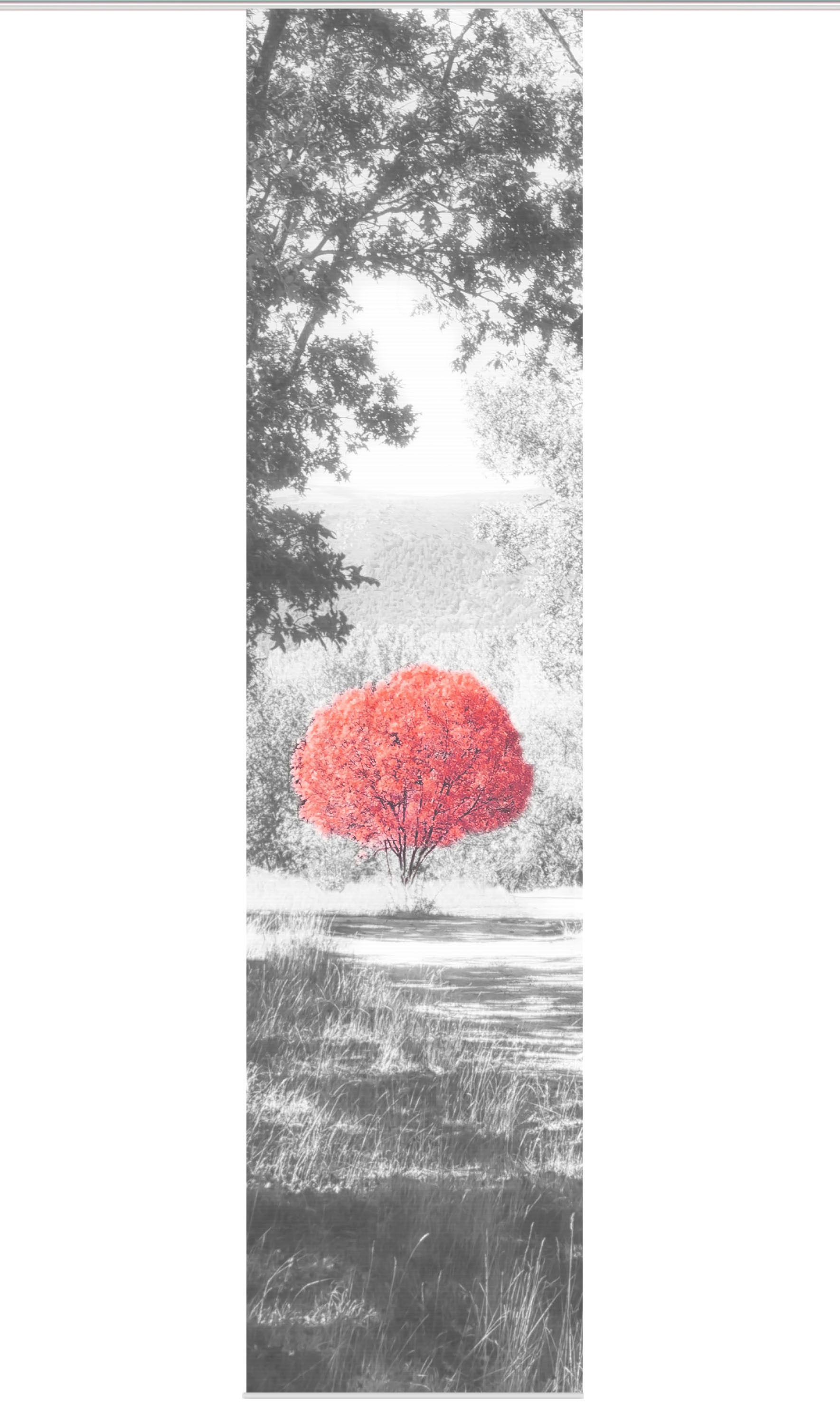 Image of Vision S Schiebegardine »AMENO«, (1 St.), HxB: 260x60, BAMBUS OPTIK bei Ackermann Versand Schweiz