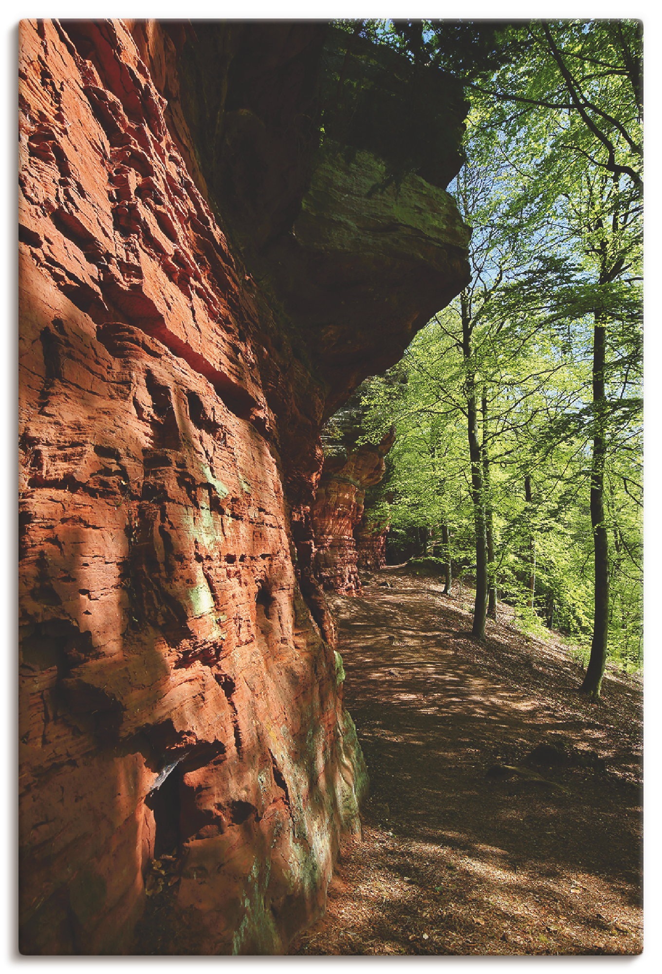 Image of Artland Wandbild »Altschlossfelsen I«, Felsen, (1 St.), in vielen Grössen & Produktarten - Alubild / Outdoorbild für den Aussenbereich, Leinwandbild, Poster, Wandaufkleber / Wandtattoo auch für Badezimmer geeignet bei Ackermann Versand Schweiz