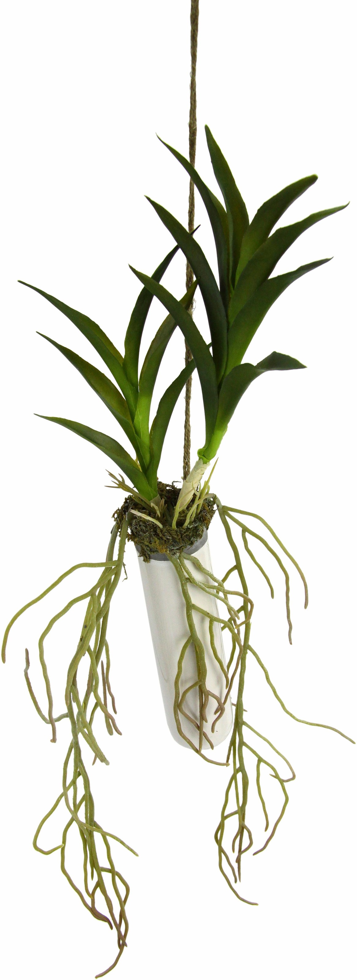 Image of I.GE.A. Kunstpflanze »Orchideenblätter«, (1 St.) bei Ackermann Versand Schweiz