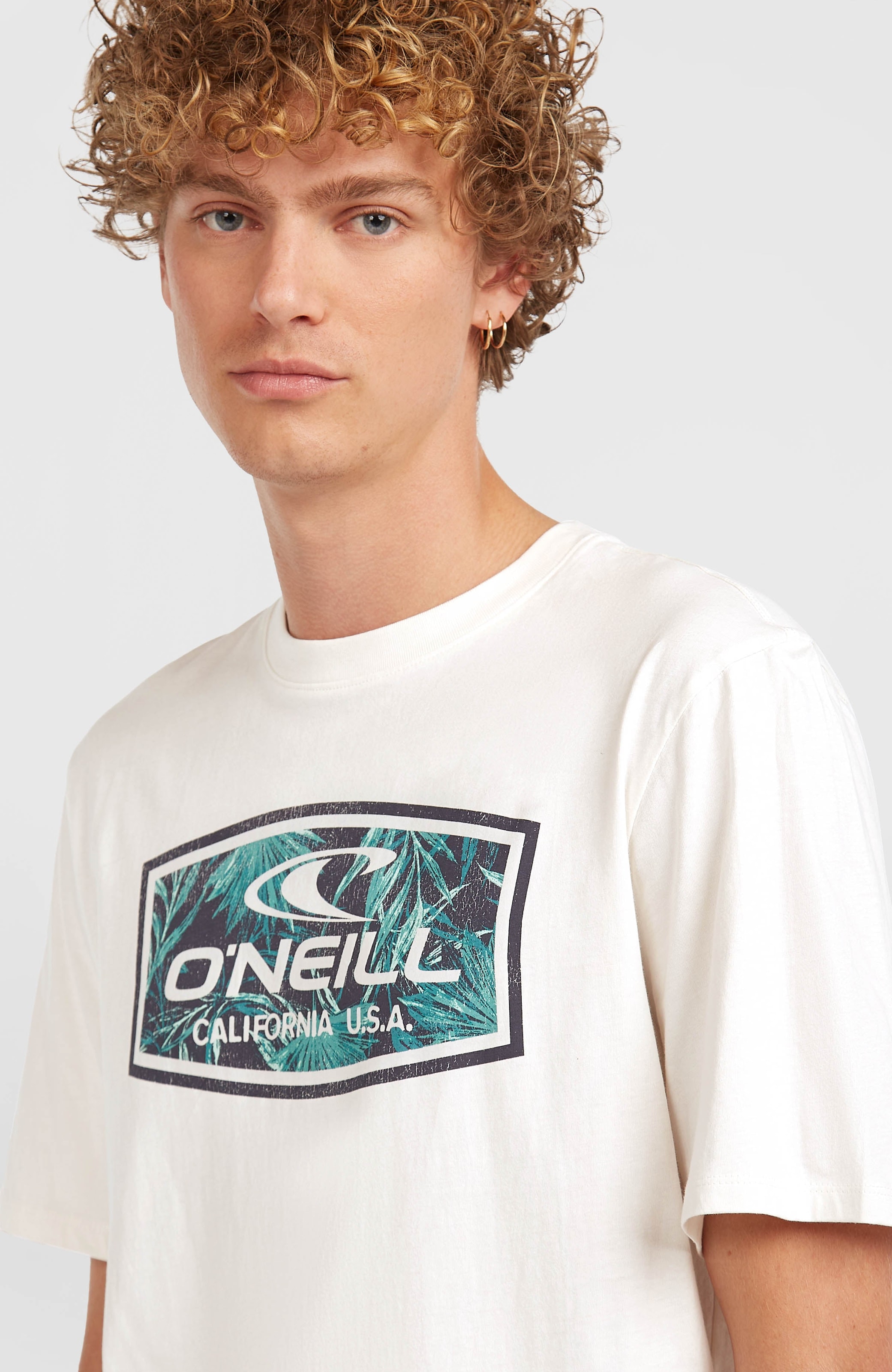 O'Neill T-Shirt »O'NEILL GRAPHIC T-SHIRT«, (1 tlg.)