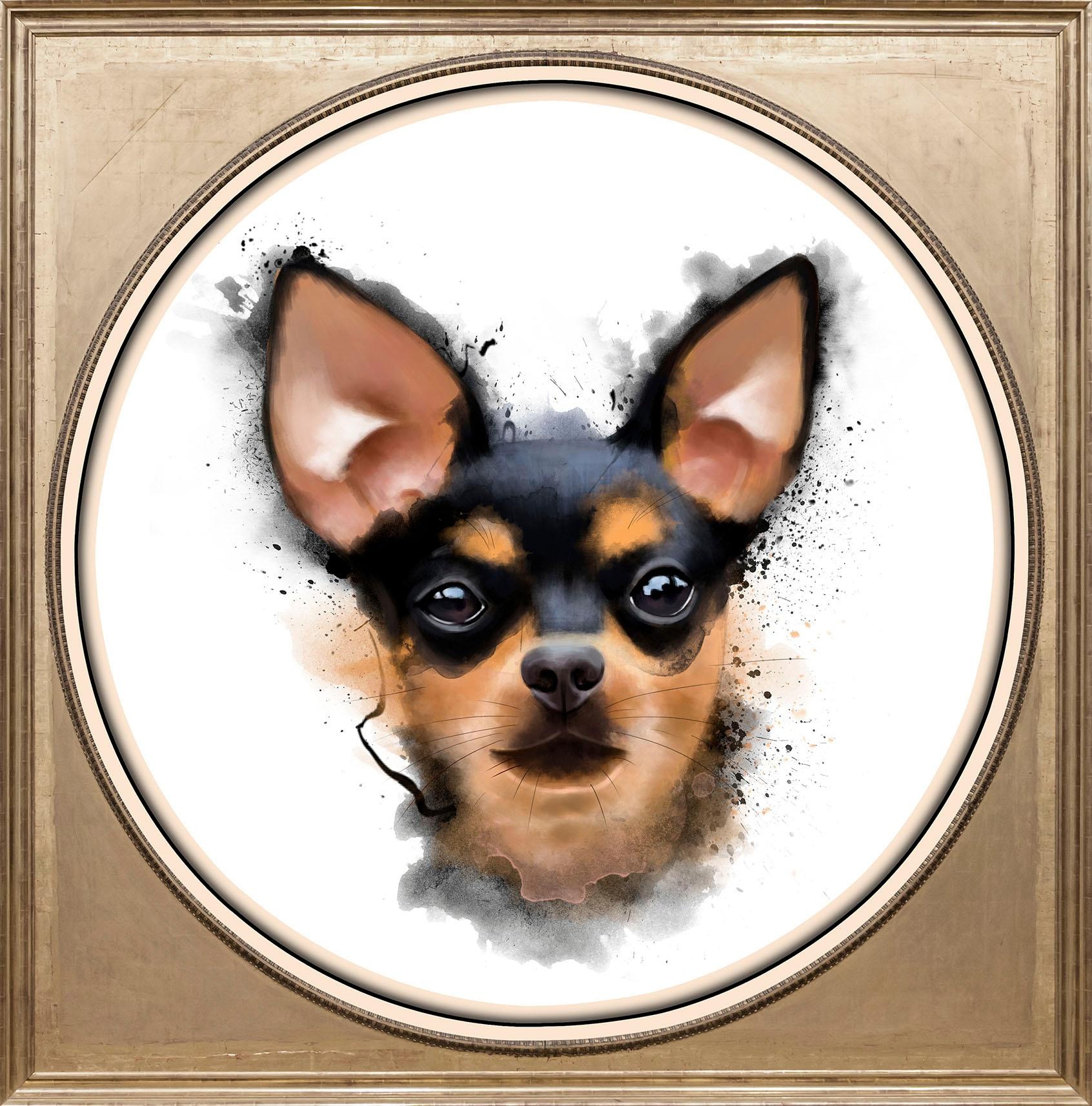 Image of queence Acrylglasbild »Chihuahua« bei Ackermann Versand Schweiz