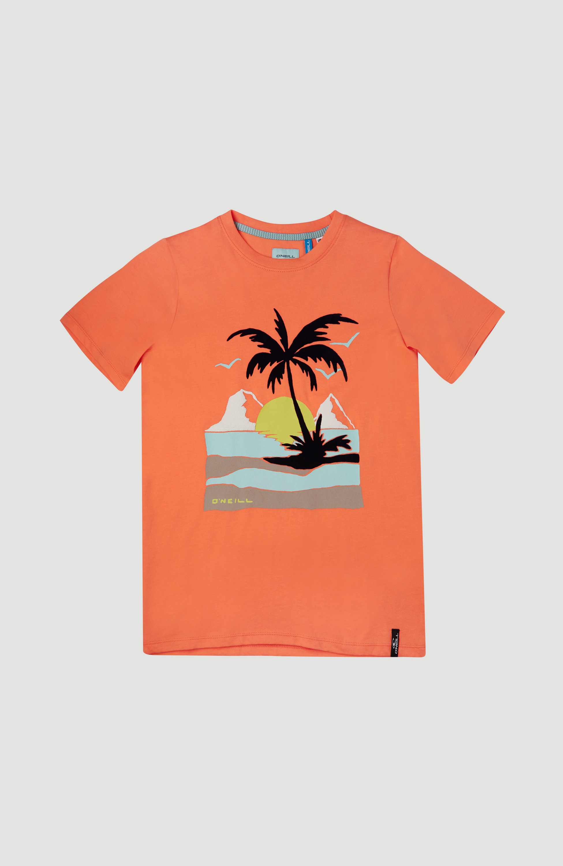 Image of O'Neill T-Shirt »"Palm Zoll« bei Ackermann Versand Schweiz