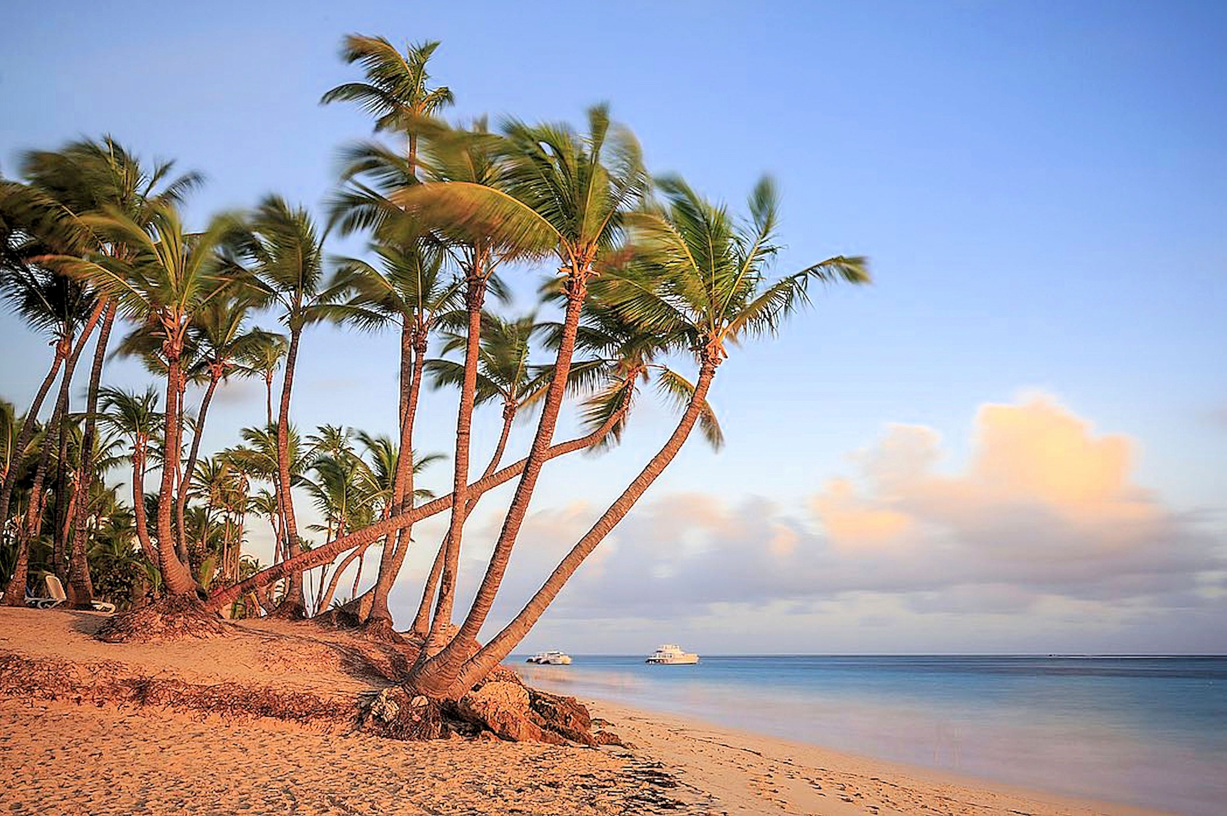 Image of my home Kunstdruck »ROMANOWICZ / Dawn in Punta Cana«, (1 St.) bei Ackermann Versand Schweiz