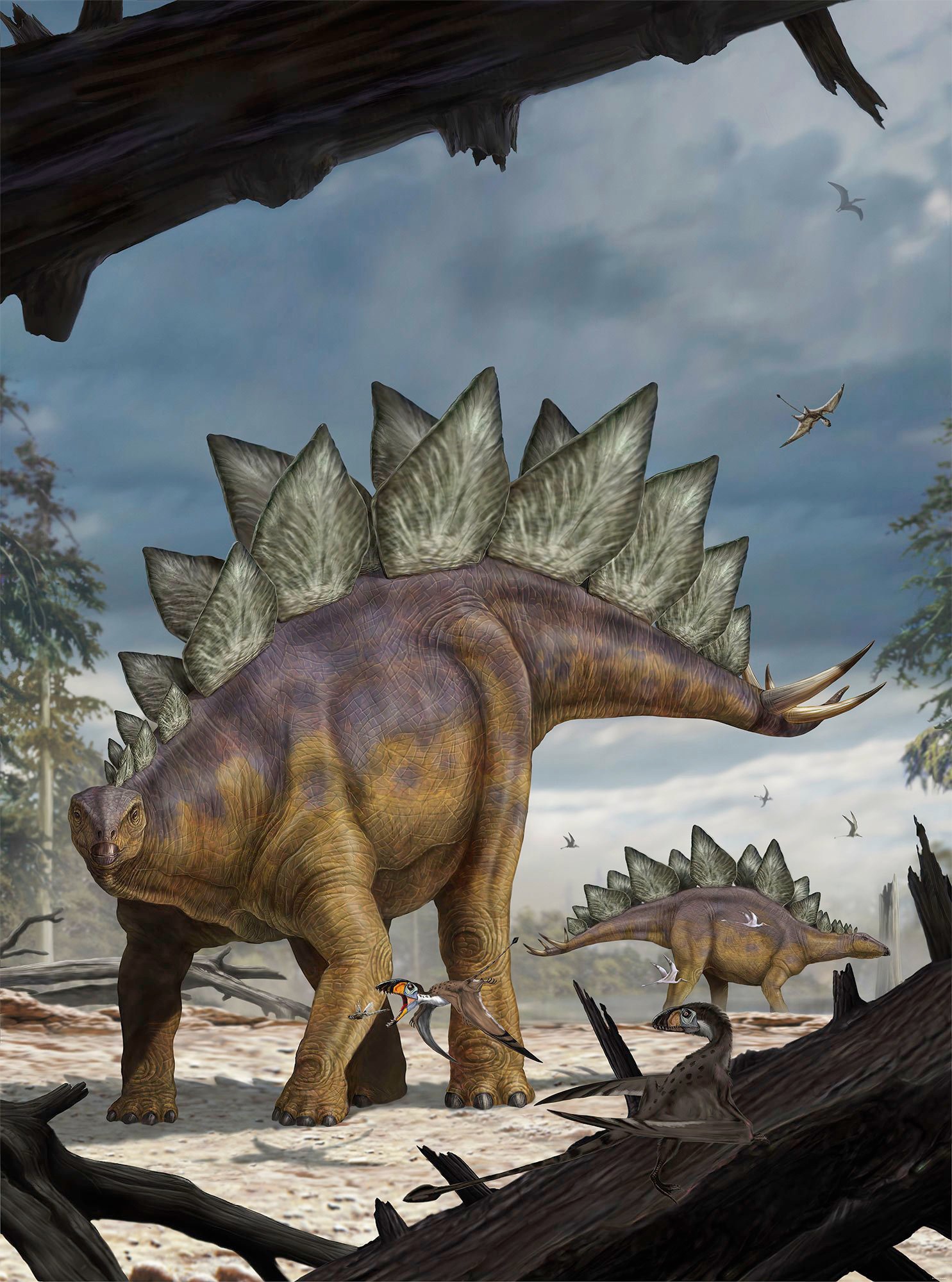 Image of Komar Fototapete »Stegosaurus«, bedruckt-Comic-Retro-mehrfarbig, BxH: 184x248 cm bei Ackermann Versand Schweiz