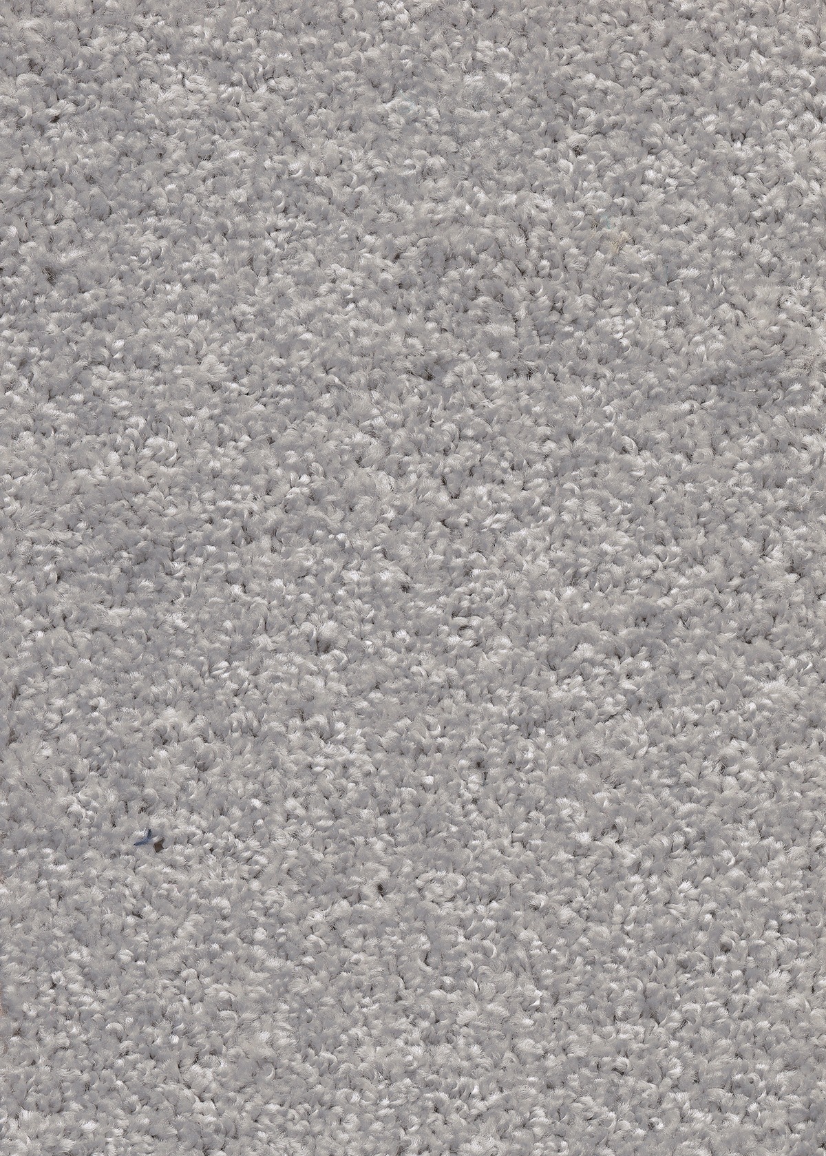 Image of Andiamo Teppichboden »Trondheim«, rechteckig, 14 mm Höhe, Meterware, Breite 400 cm, uni, schallschluckend, Wohnzimmer bei Ackermann Versand Schweiz