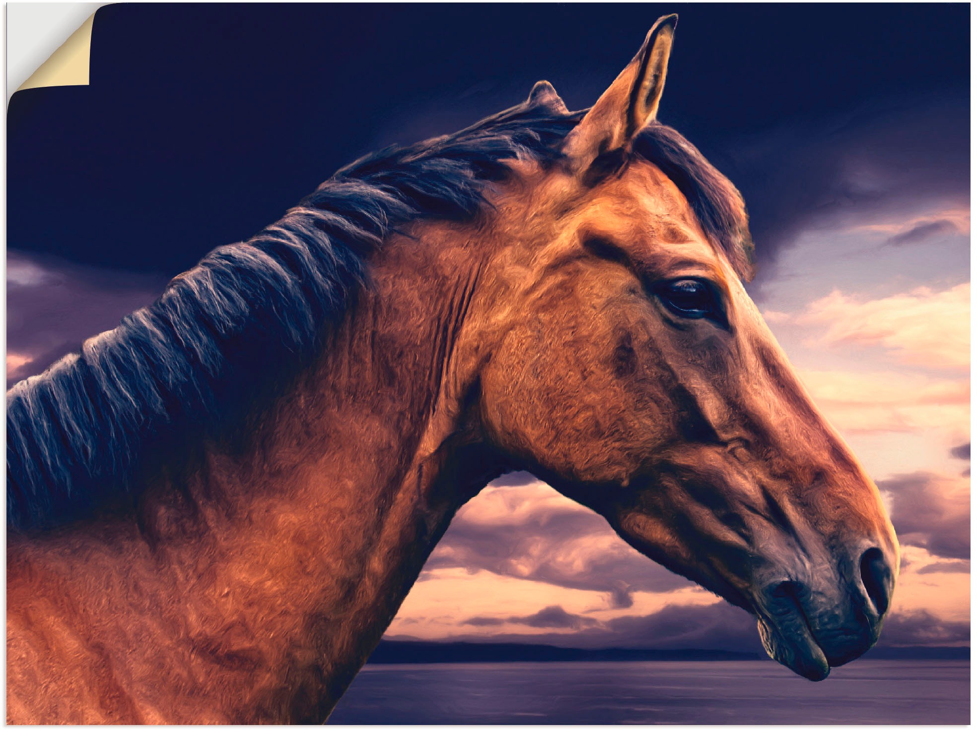 Artland Wandbild »Pferd in Leinwandbild, als oder versch. am Grössen (1 St.), günstig kaufen Wandaufkleber Meer«, Poster Haustiere