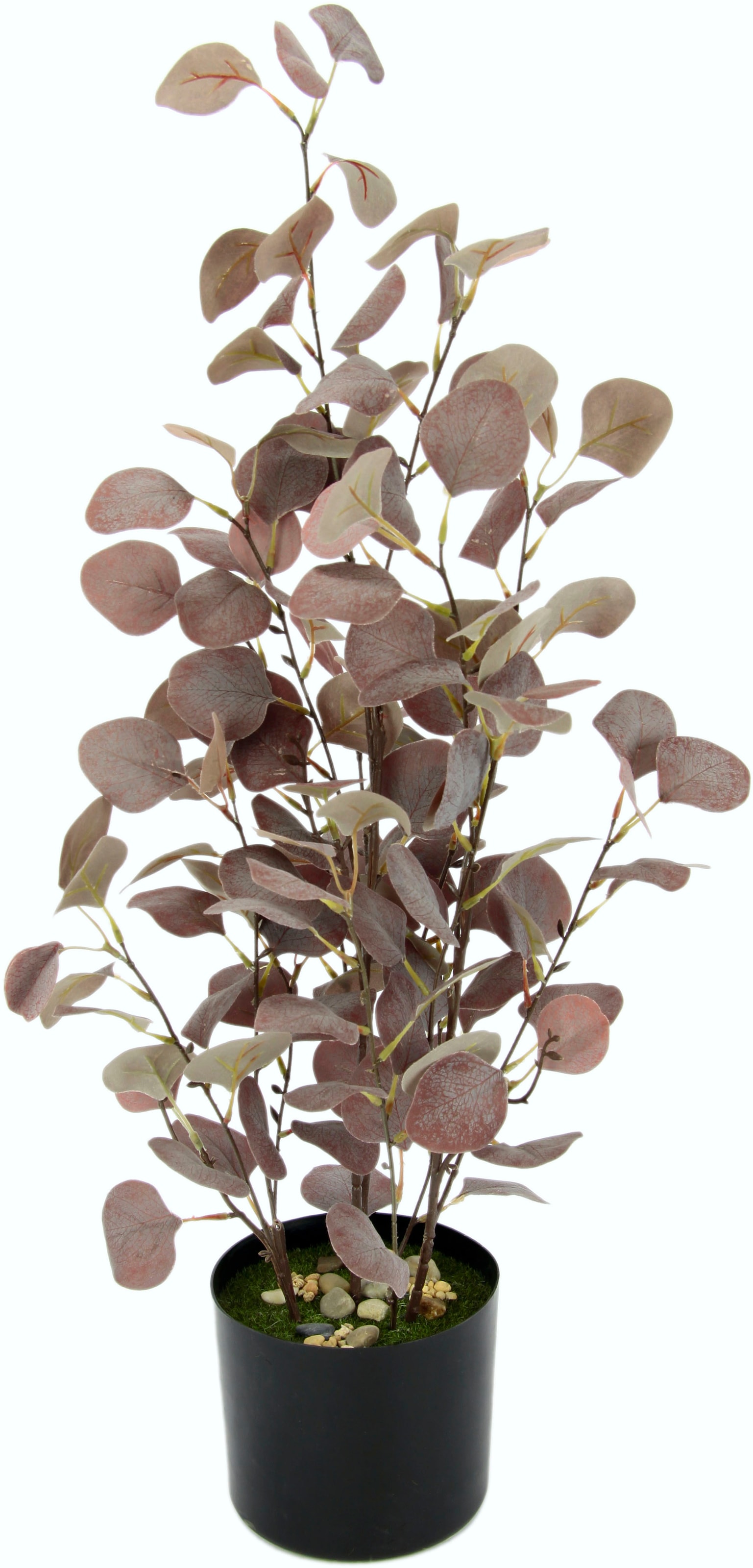 I.GE.A. Kunstpflanze kaufen bequem »Eukalyptuspflanze«, Kunststofftopf im