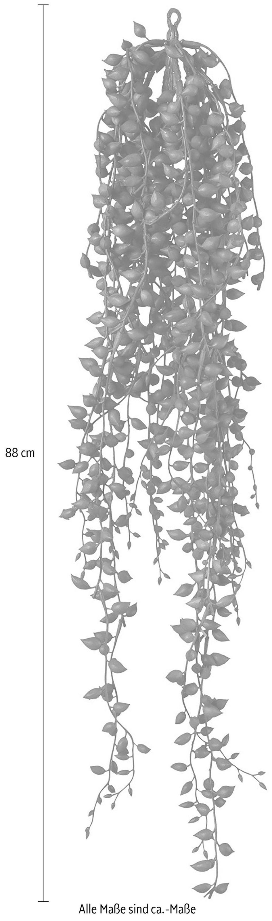 Creativ green Liane artificielle