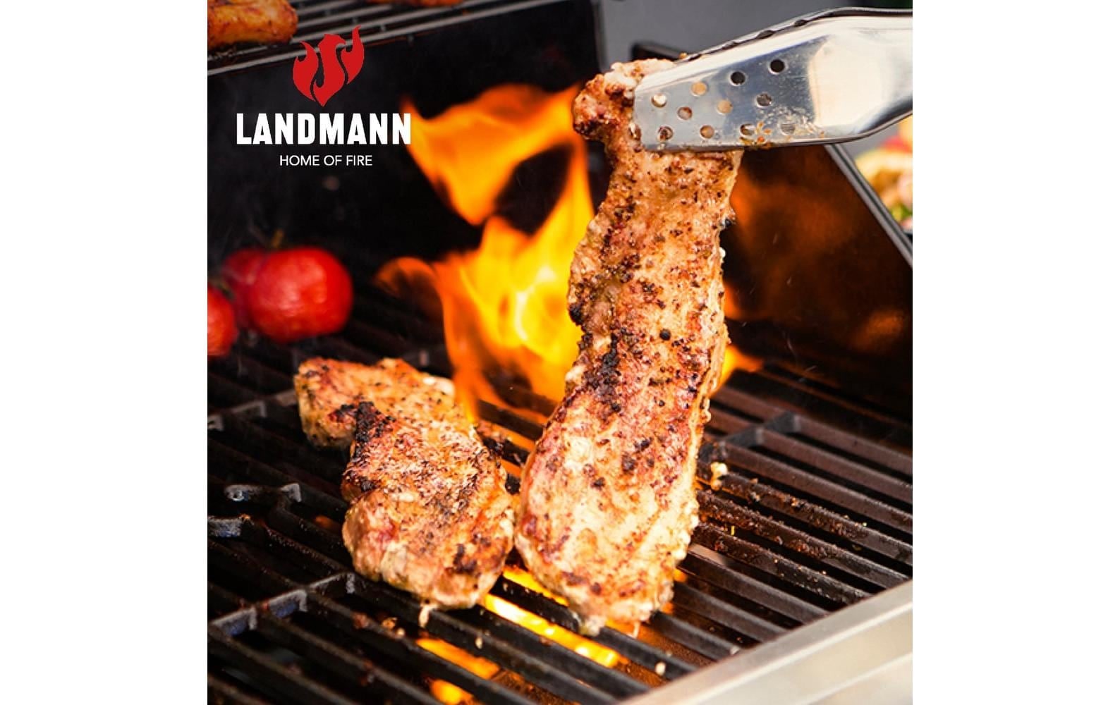 LANDMANN Gasgrill »Rexon PTS 3,1«