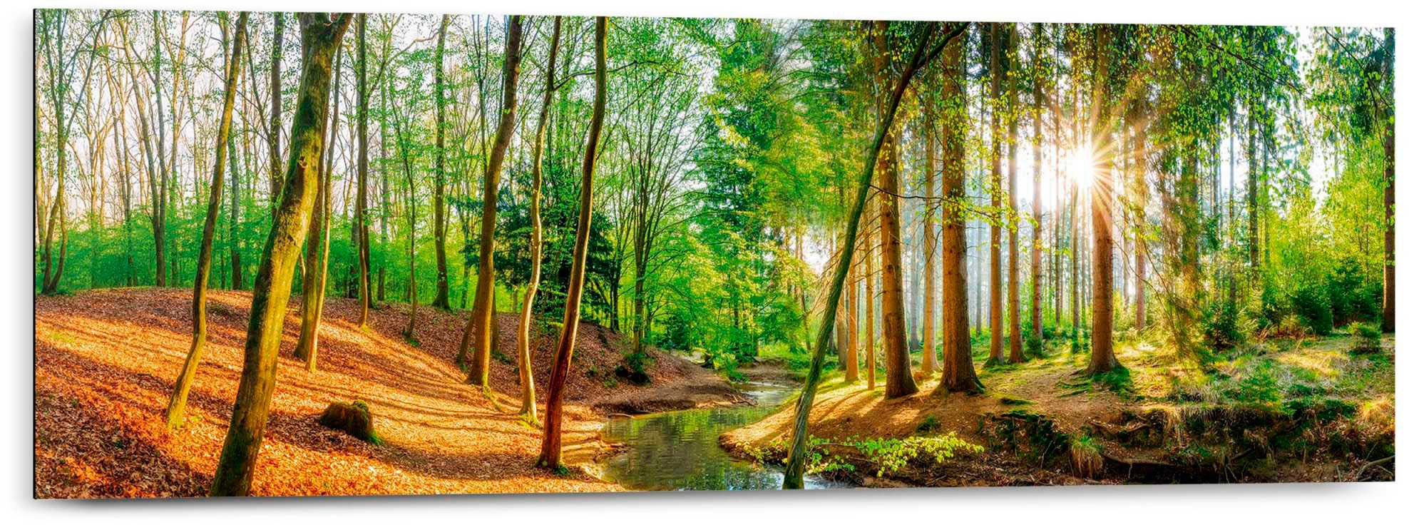 Image of Reinders Deco-Panel "Sonniger Wald"
