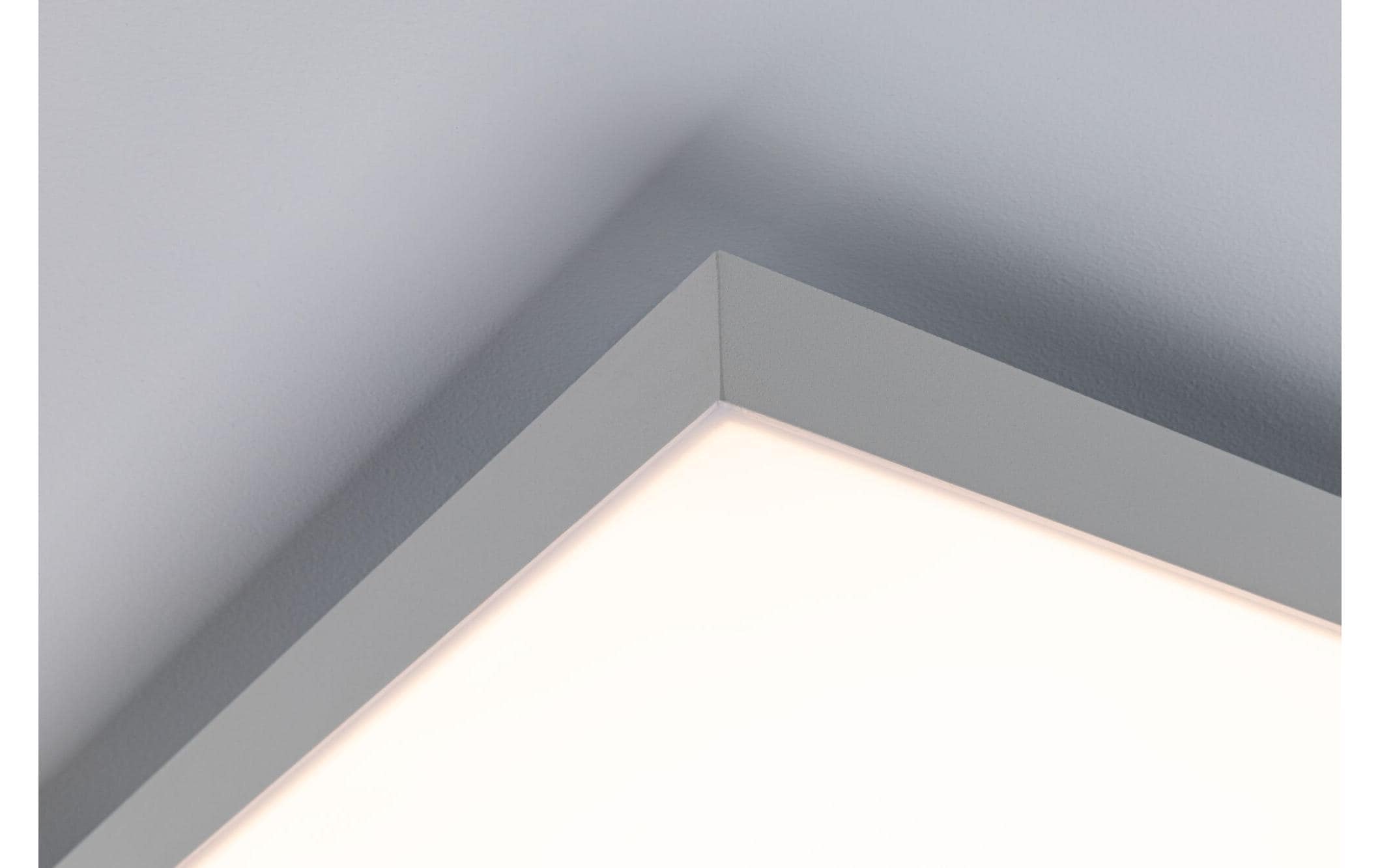 Paulmann Deckenleuchte »LED Panel Ve«