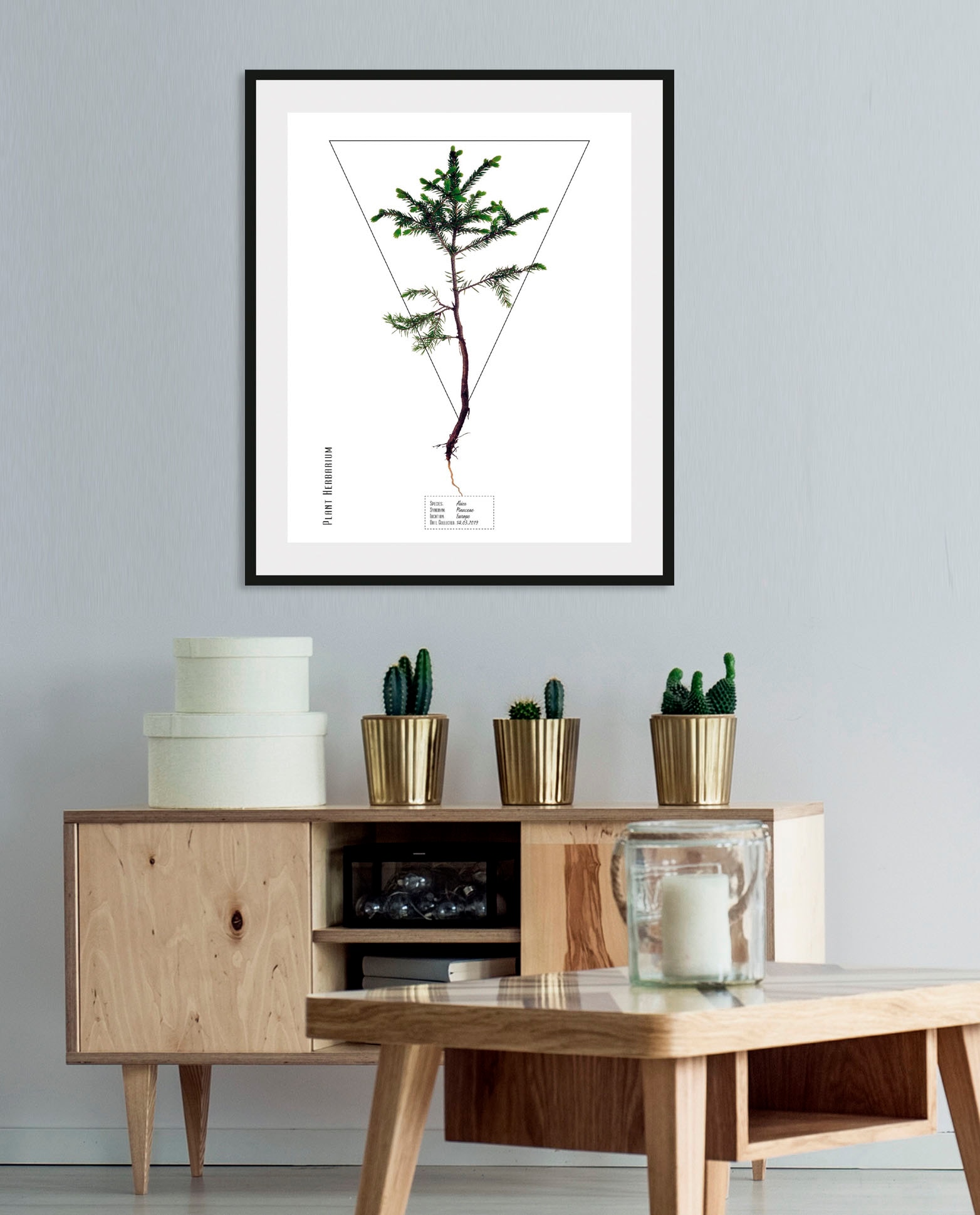 Image of queence Bild "Abies" 1 Stk. tlg.