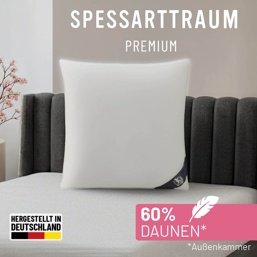 Image of SPESSARTTRAUM 3-Kammer-Kopfkissen "Premium" Füllung: 60Gaensedaunen40GaensefedernKlasse1DownpasszertifiziertAussenkammern 1 Stk. tlg. gute Stützkraft, Seitenschläfer & Rückenschläfer