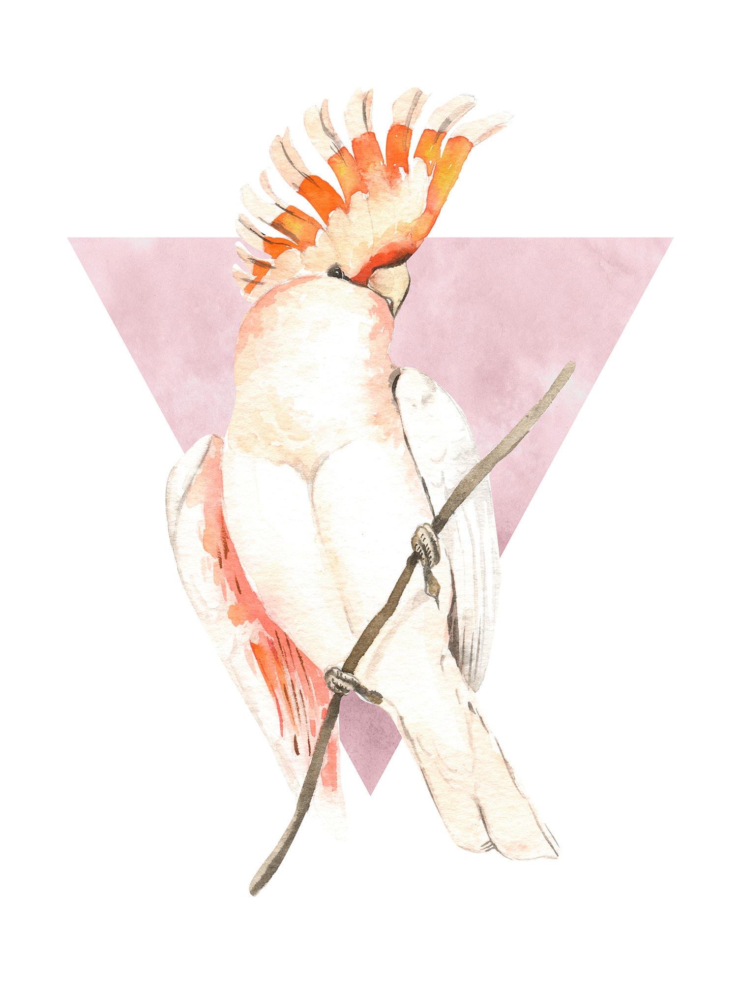 Komar Bild »Cute Cacadoo« Natur 1 Stk. tlg. Wandbild zur Dekoration - ohne Rahmen