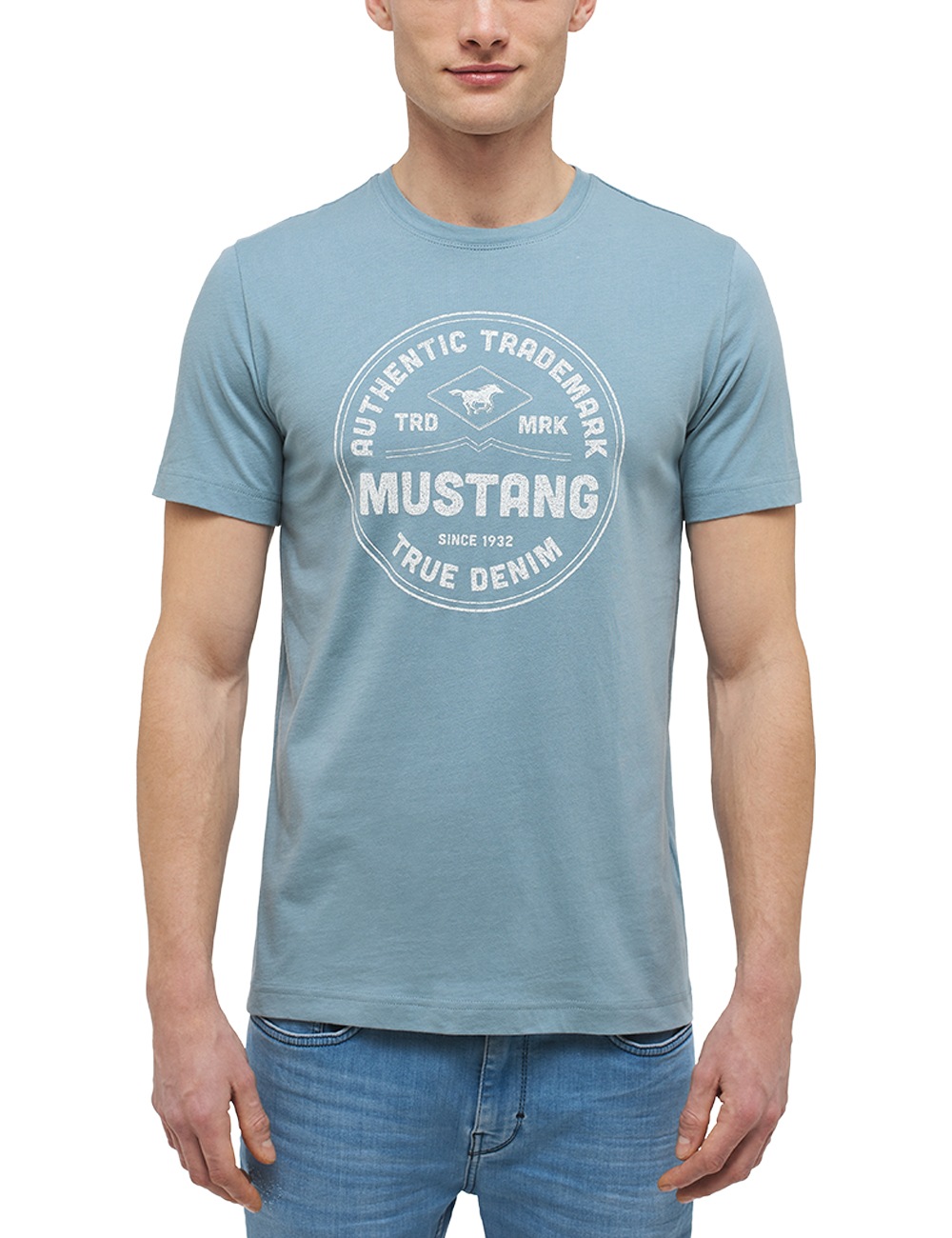 MUSTANG T-Shirt »Alex C Print« kaufen
