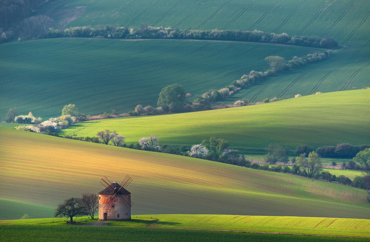 Image of Papermoon Fototapete »Felder mit Windmühle«, Vliestapete, hochwertiger Digitaldruck, inklusive Kleister bei Ackermann Versand Schweiz