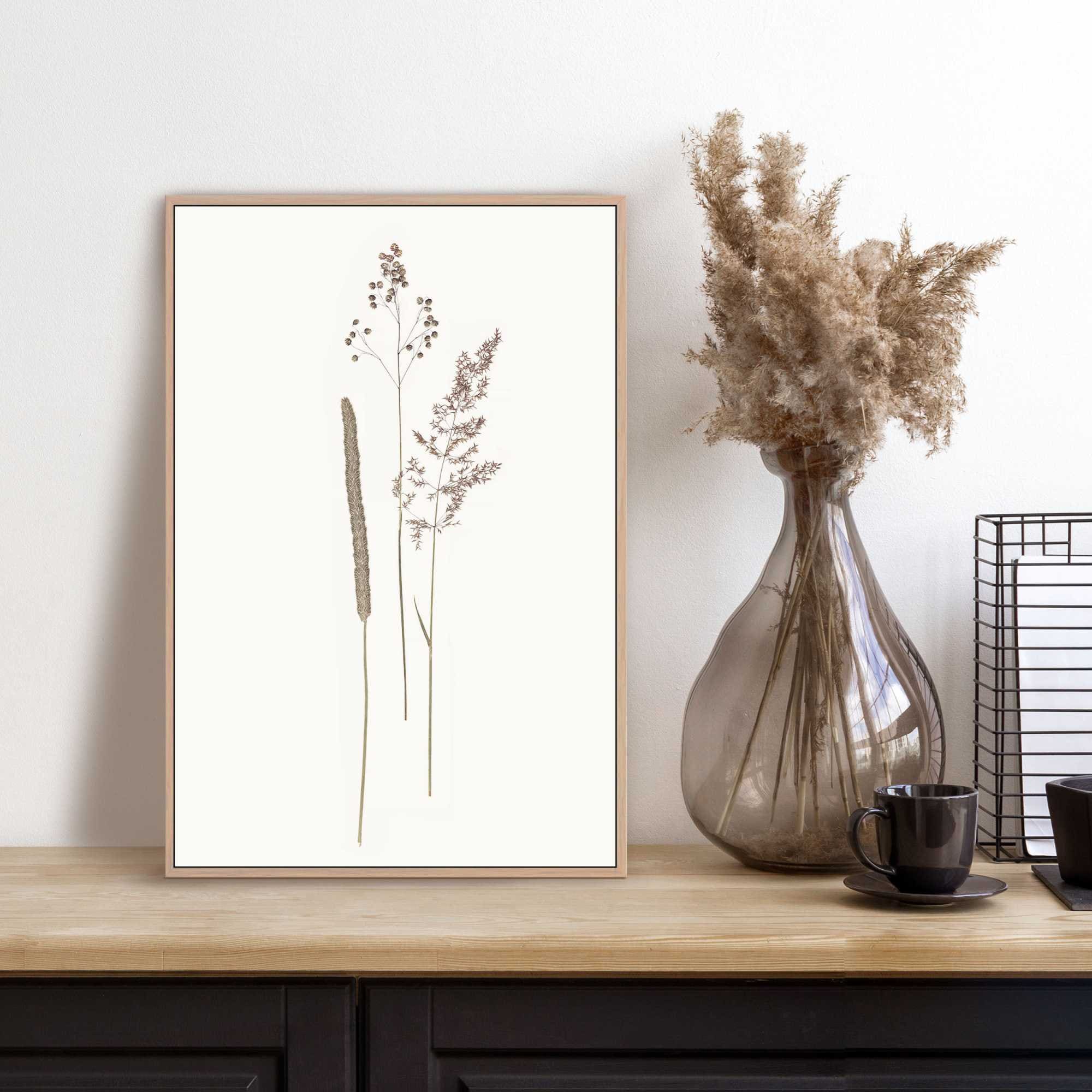 Image of Reinders Bild mit Rahmen "Dried Flowers"