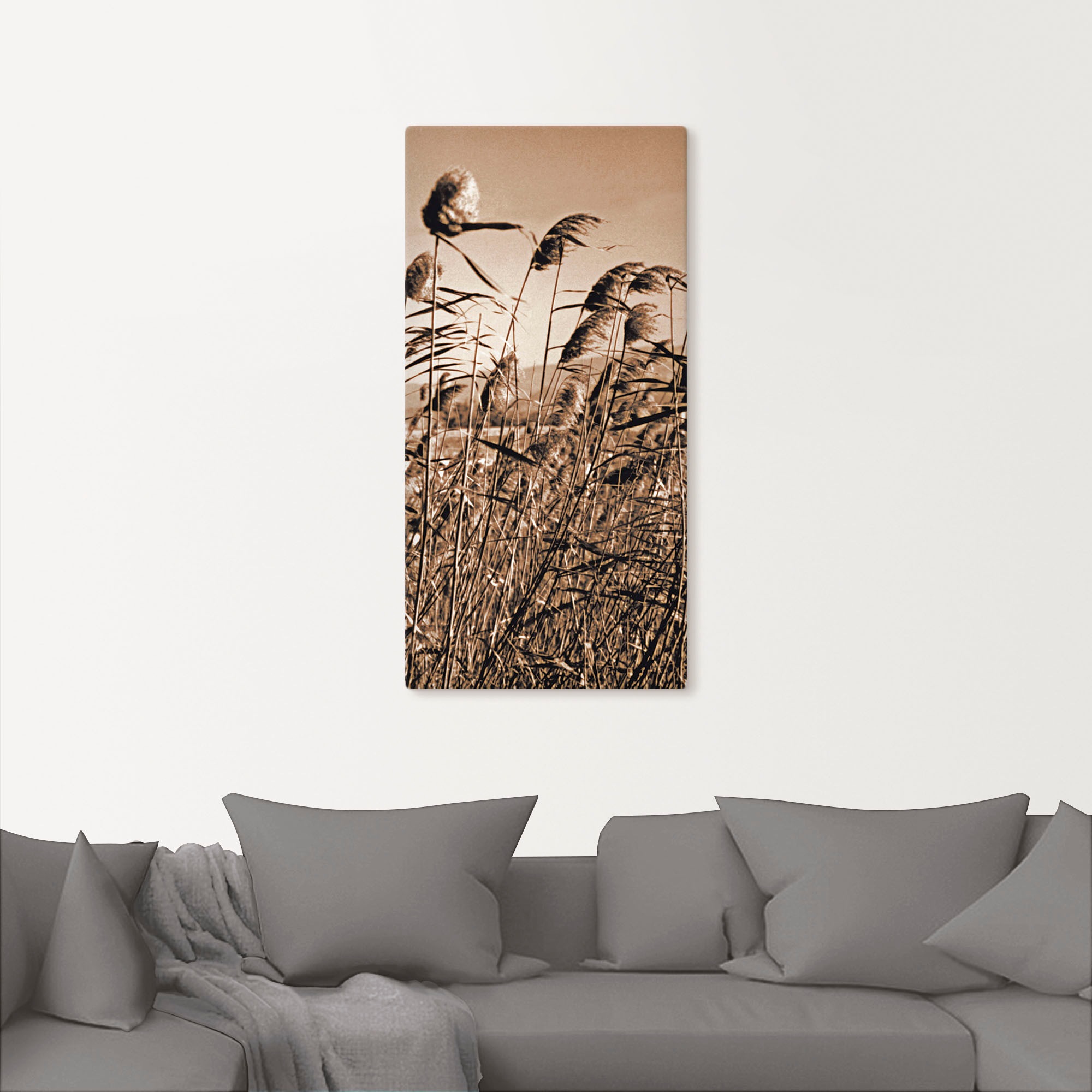 Artland Wandbild »Sepia Gräser II«, Gräser, (1 St.), als Leinwandbild in verschied. Grössen