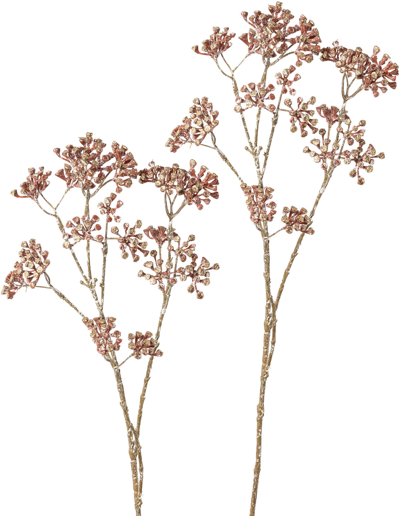 Image of my home Kunstzweig »Rainfarnzweig«, (Set, 2 St.), im 2-teiligen Set bei Ackermann Versand Schweiz