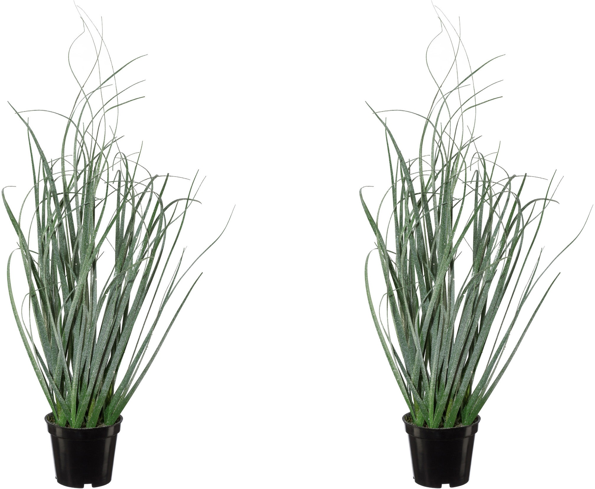 Image of Creativ green Kunstgras, (2 St., 2 Stück), mit geeister Optik bei Ackermann Versand Schweiz