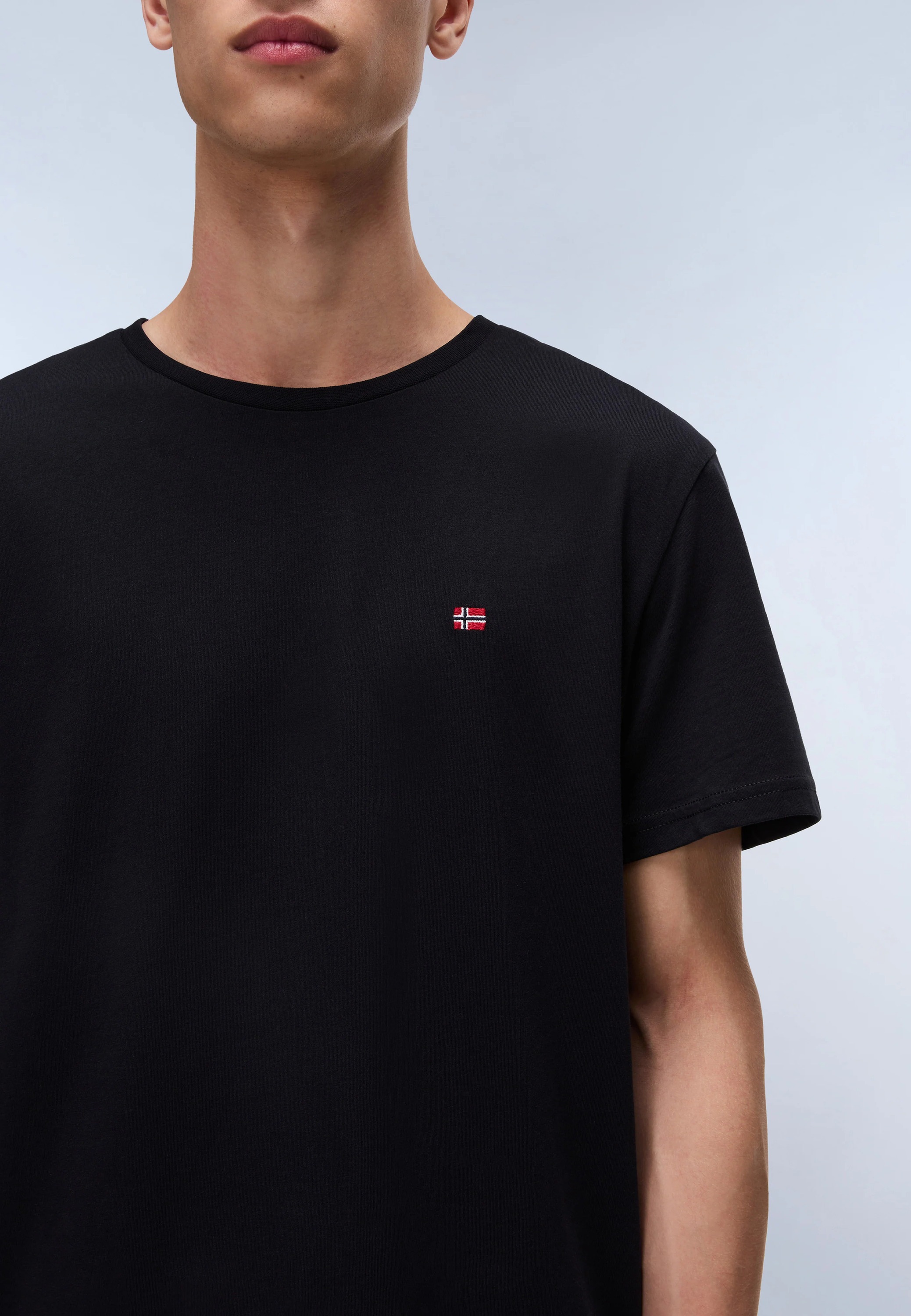 Napapijri T-Shirt »Napapijri T-Shirt SALIS SS«