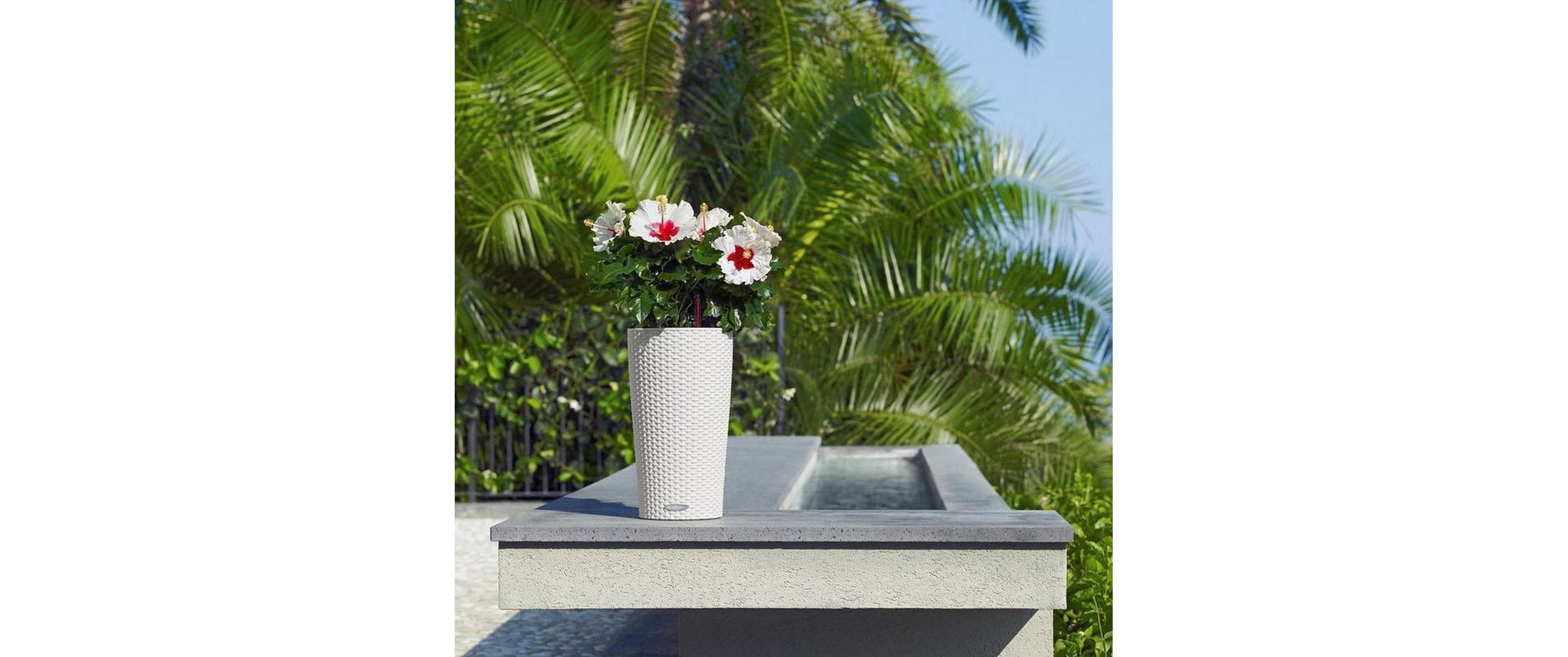   Pflanzkübel »Lechuza CILINDRO Cottage 23«