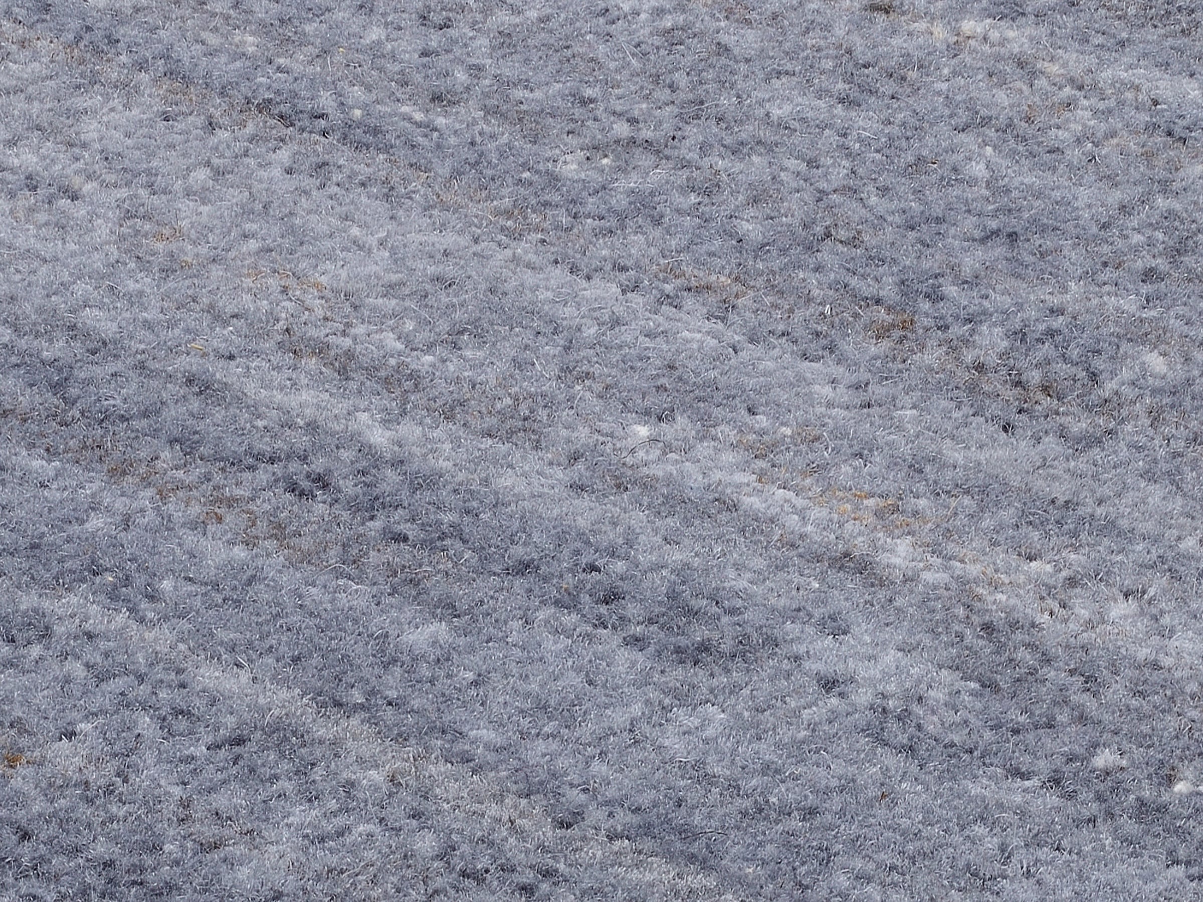 OCI DIE TEPPICHMARKE Teppich »HIMALI UNI«, rechteckig, 5 mm Höhe, handgeknüpft, hochwertige Wolle, fusswarm, Wohnzimmer