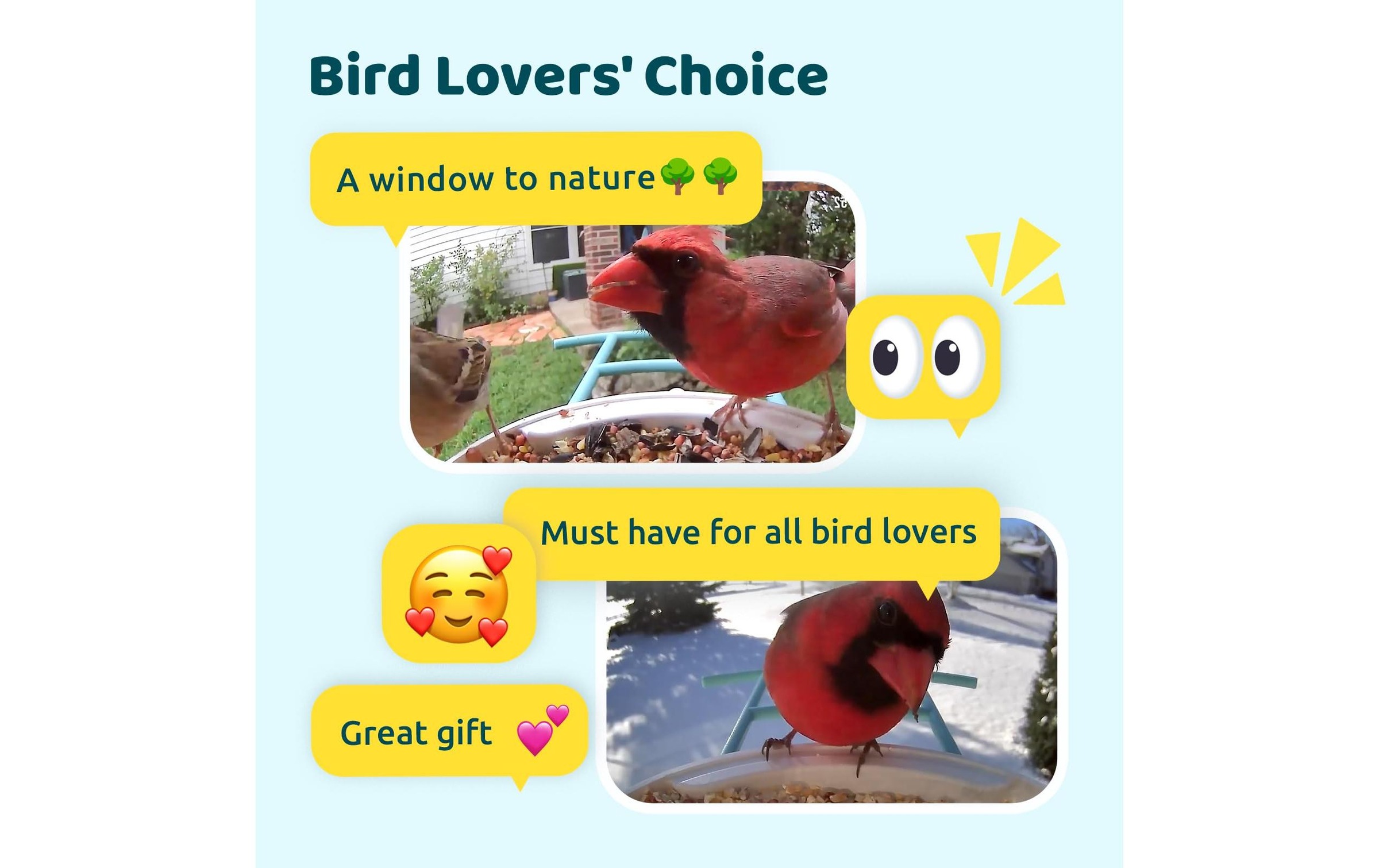 Birdfy Distributeur de nourriture »Basic Solar«