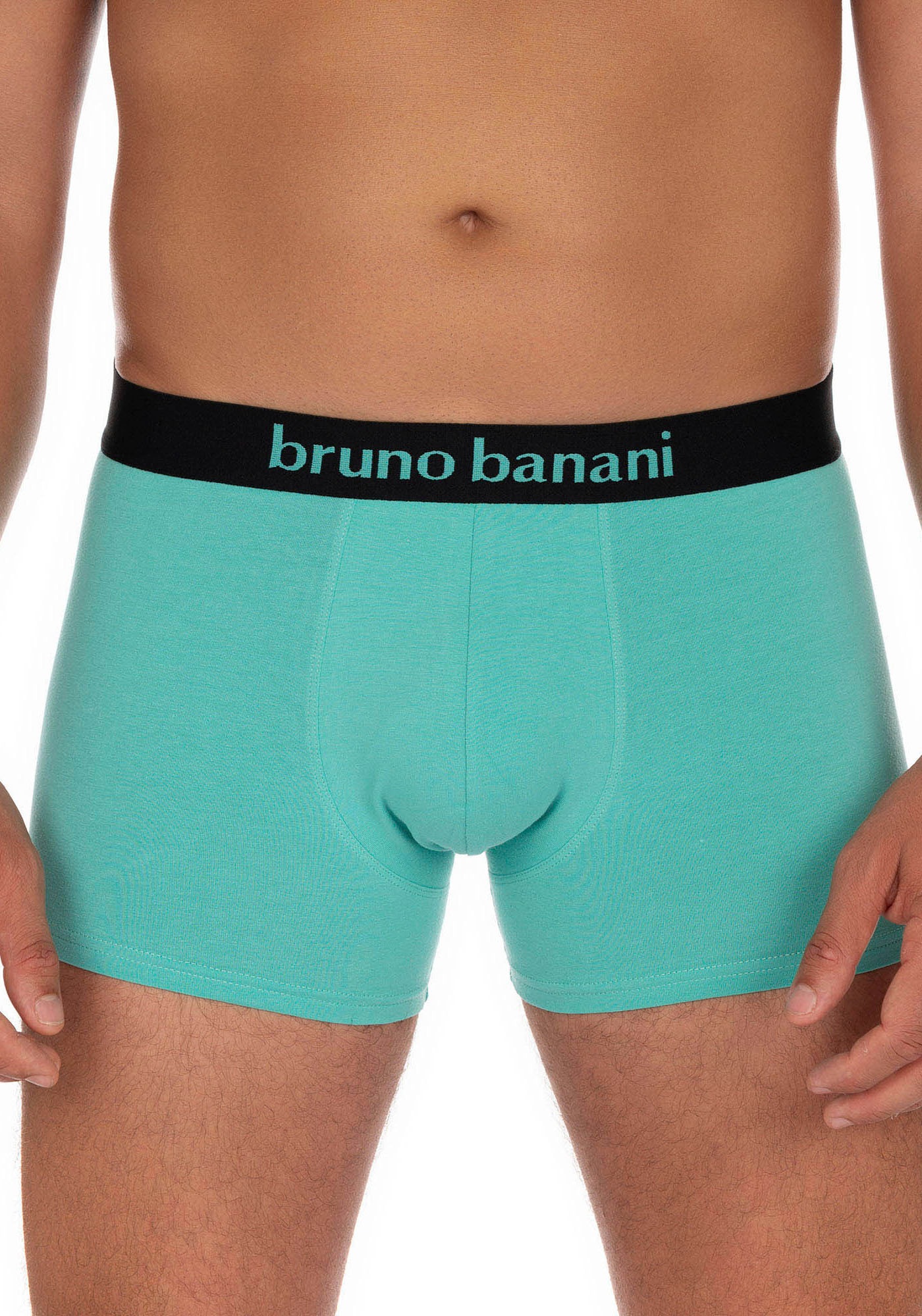 Bruno Banani Boxer, (2er Pack), mit kontrastreichem Logobund