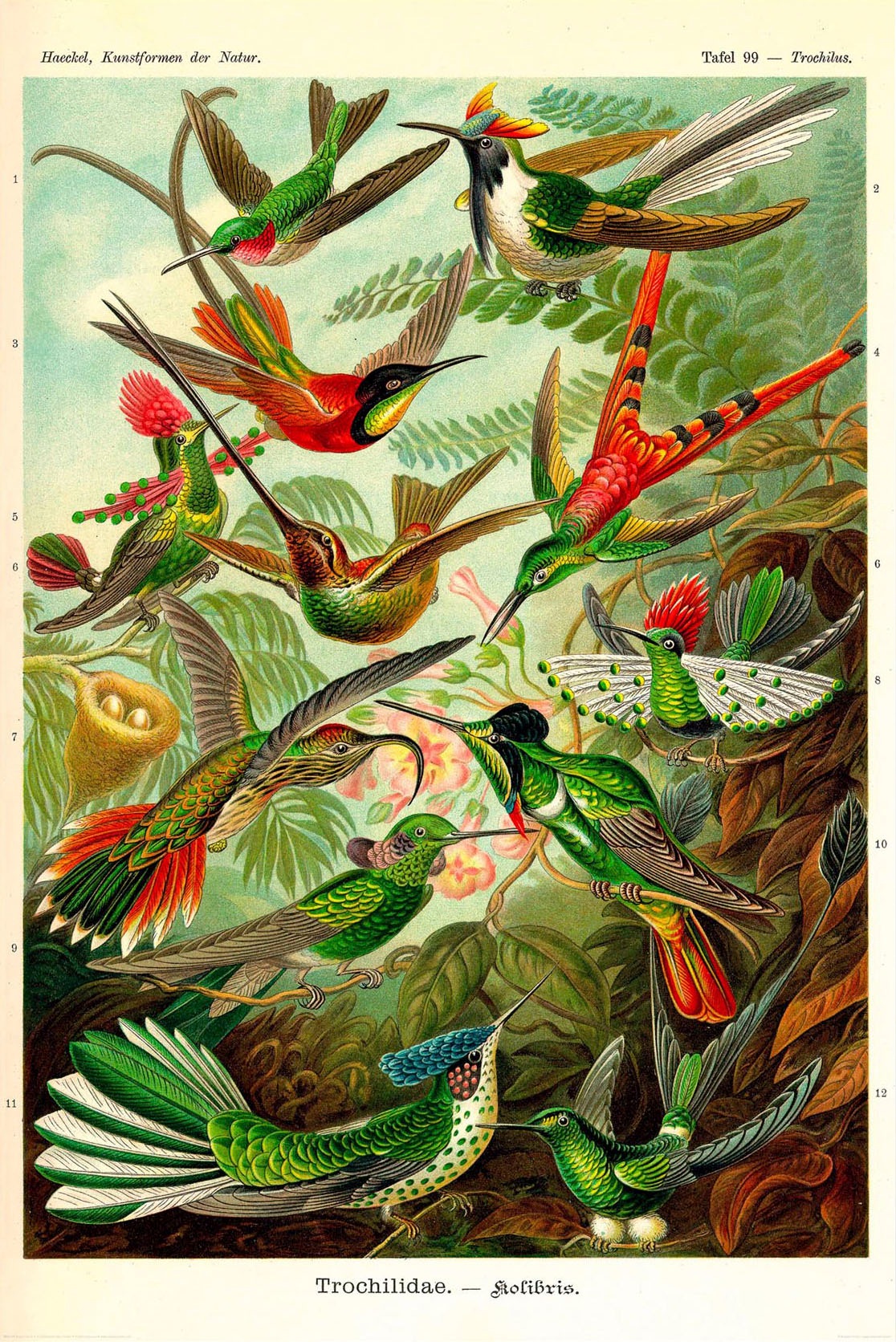 Image of Reinders! Holzbild »Deco Panel 60x90 Beautiful Birds« bei Ackermann Versand Schweiz