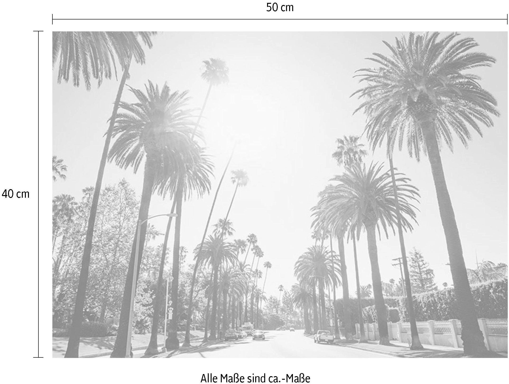 Komar Bild "Palm Alley" Städte 1 Stk. tlg. Wandbild zur Dekoration - ohne Rahmen