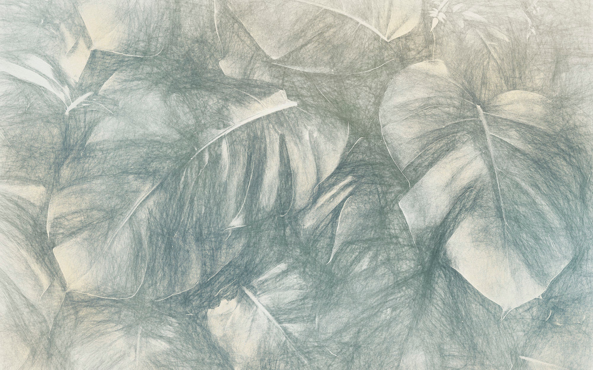 Image of Komar Vliestapete "Digitaldruck Vlies - Beyond Botanic - Grösse 400 x 250 cm" bedruckt glatt Wohnzimmer, Schlafzimmer
