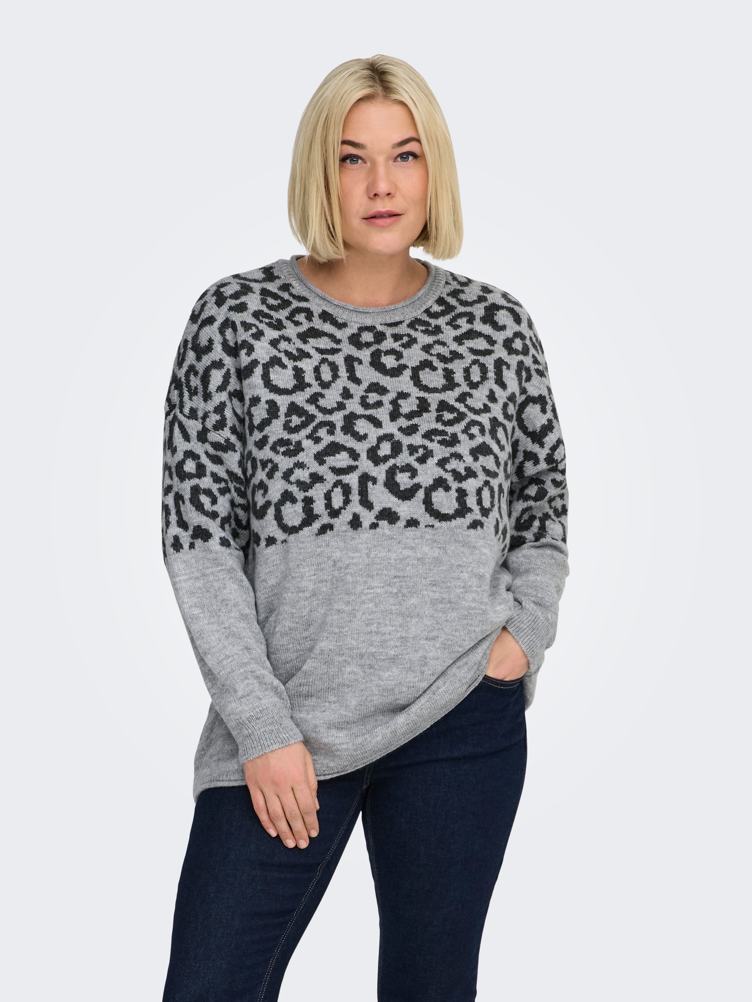 ONLY CARMAKOMA Pull à col rond »CARJADE ZEBRA L/S O-NECK KNT«