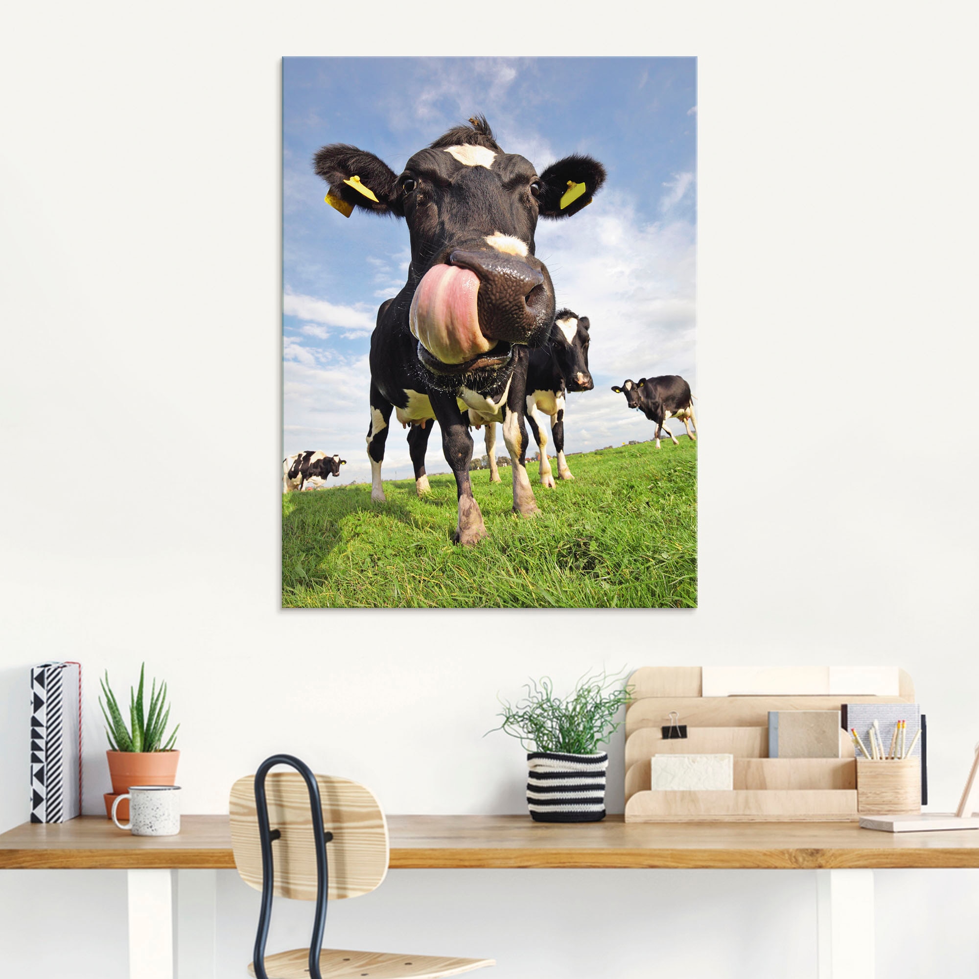 Artland Glasbild »Holstein-Kuh mit gewaltiger Zunge«, Haustiere, (1 St.),  in verschiedenen Grössen bequem kaufen