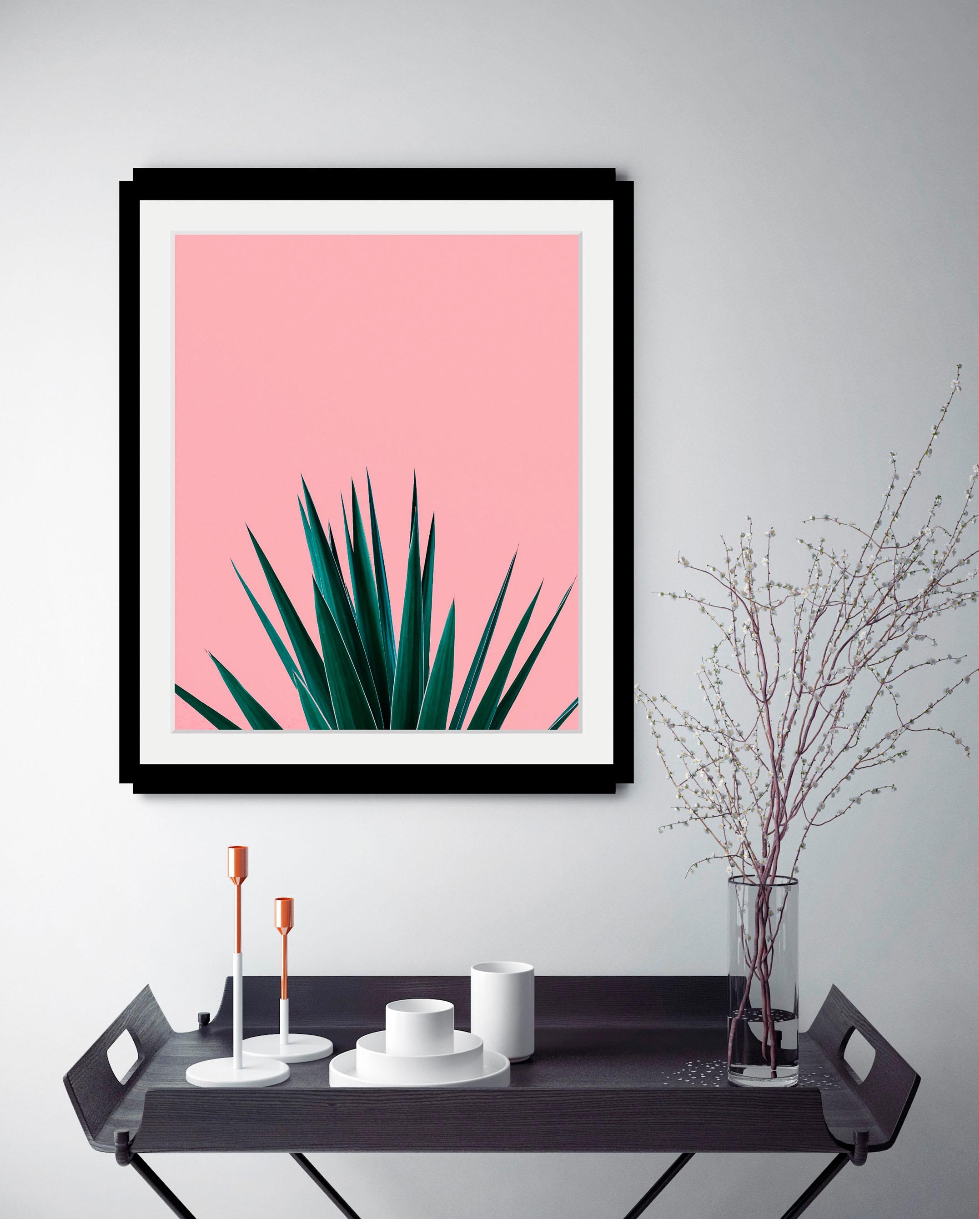 queence Bild »Palme« Foto | Kunst | Pflanzen | Pflanzenbilder | Stechpalme HD Premium Poster-Druck inkl. Holzrahmen