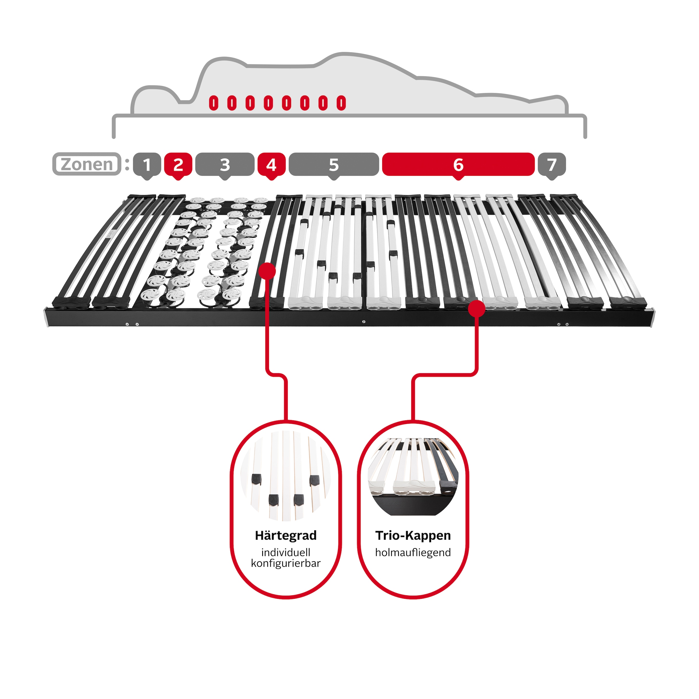 DELAVITA Teiltellerlattenrost »Lattenrost Müritz, 90x200, 140x200 cm und weiteren Grössen«, (1 St.), Lattenrost für alle Matratzen, langlebig, ergonomisch, 7-Zonen