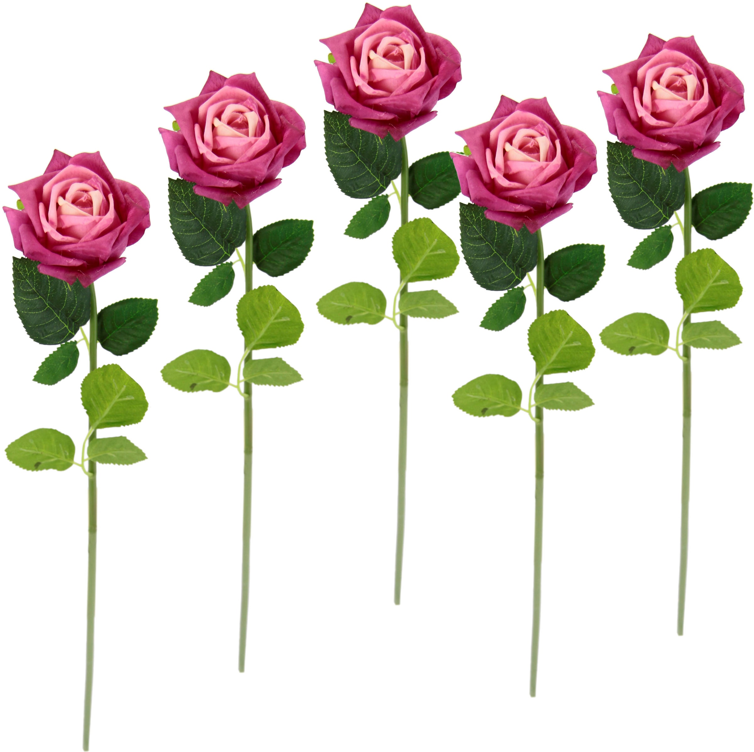 I.GE.A. Kunstblume Rosen, günstig Set 5er Bouquet, Seidenrosen, »Rose«, Kunstzweig, kaufen Kunstrose künstliche
