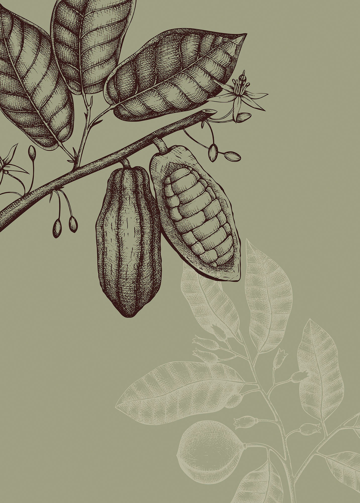 Image of Komar Wandbild »Wild Cocoa«, (1 St.), Deutsches Premium-Poster Fotopapier mit seidenmatter Oberfläche und hoher Lichtbeständigkeit. Für fotorealistische Drucke mit gestochen scharfen Details und hervorragender Farbbrillanz. bei Ackermann Versand Schweiz