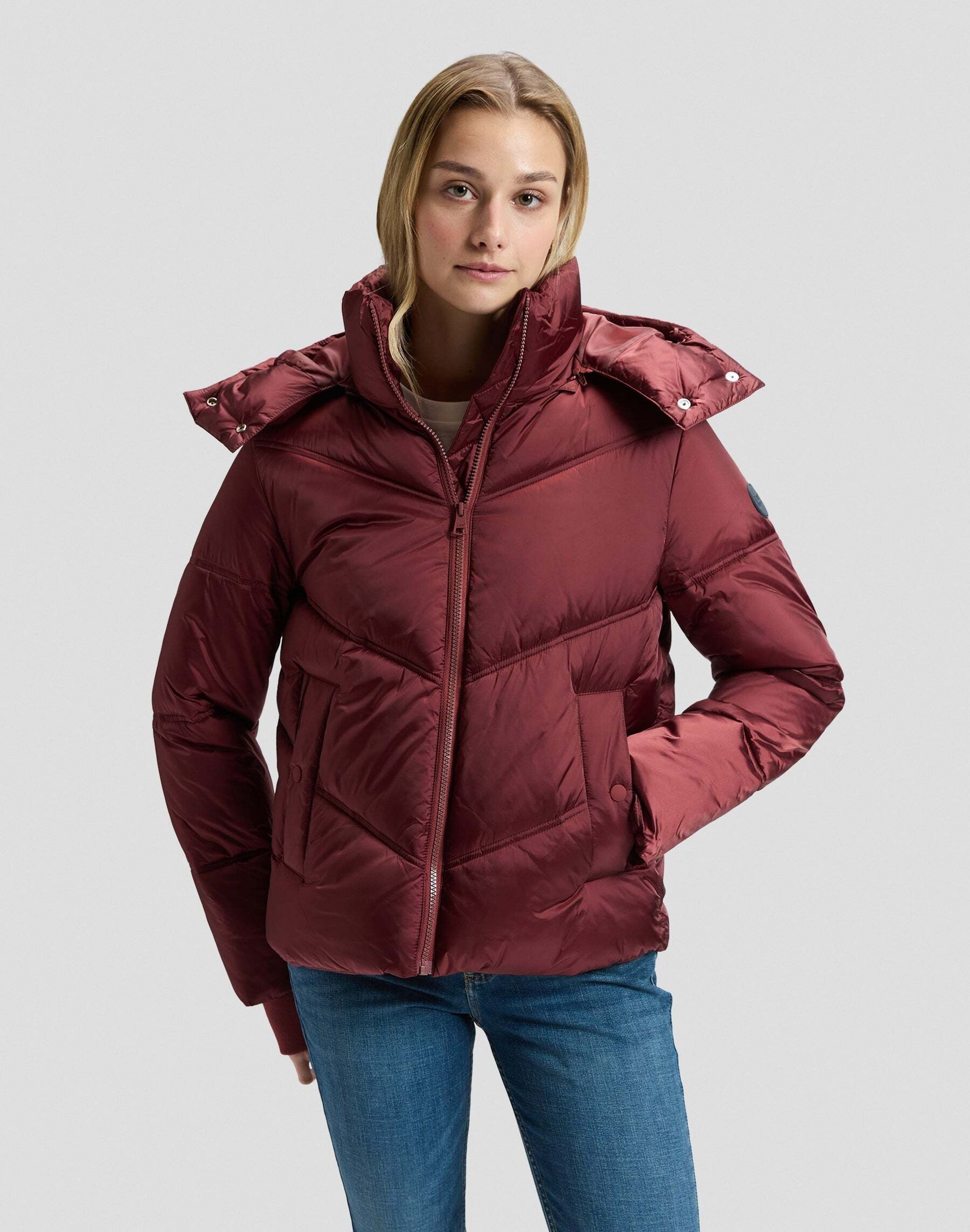 Image of Lee Winterjacke "Lee Winterjacke Short Hooded Puffer"