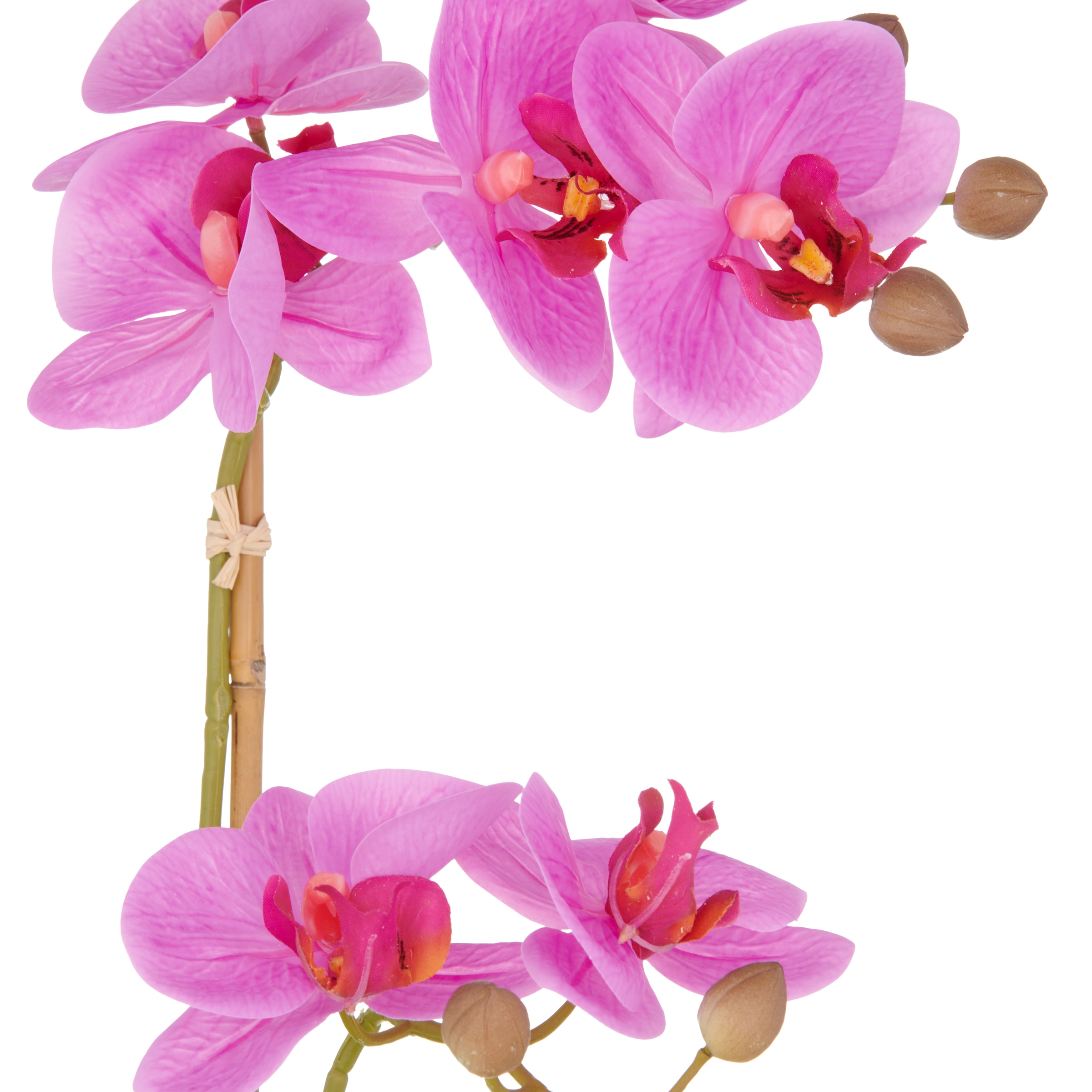 Creativ green Orchidée artificielle »Orchidee Phalaenopsis« mit dauerhafter Blütenpracht