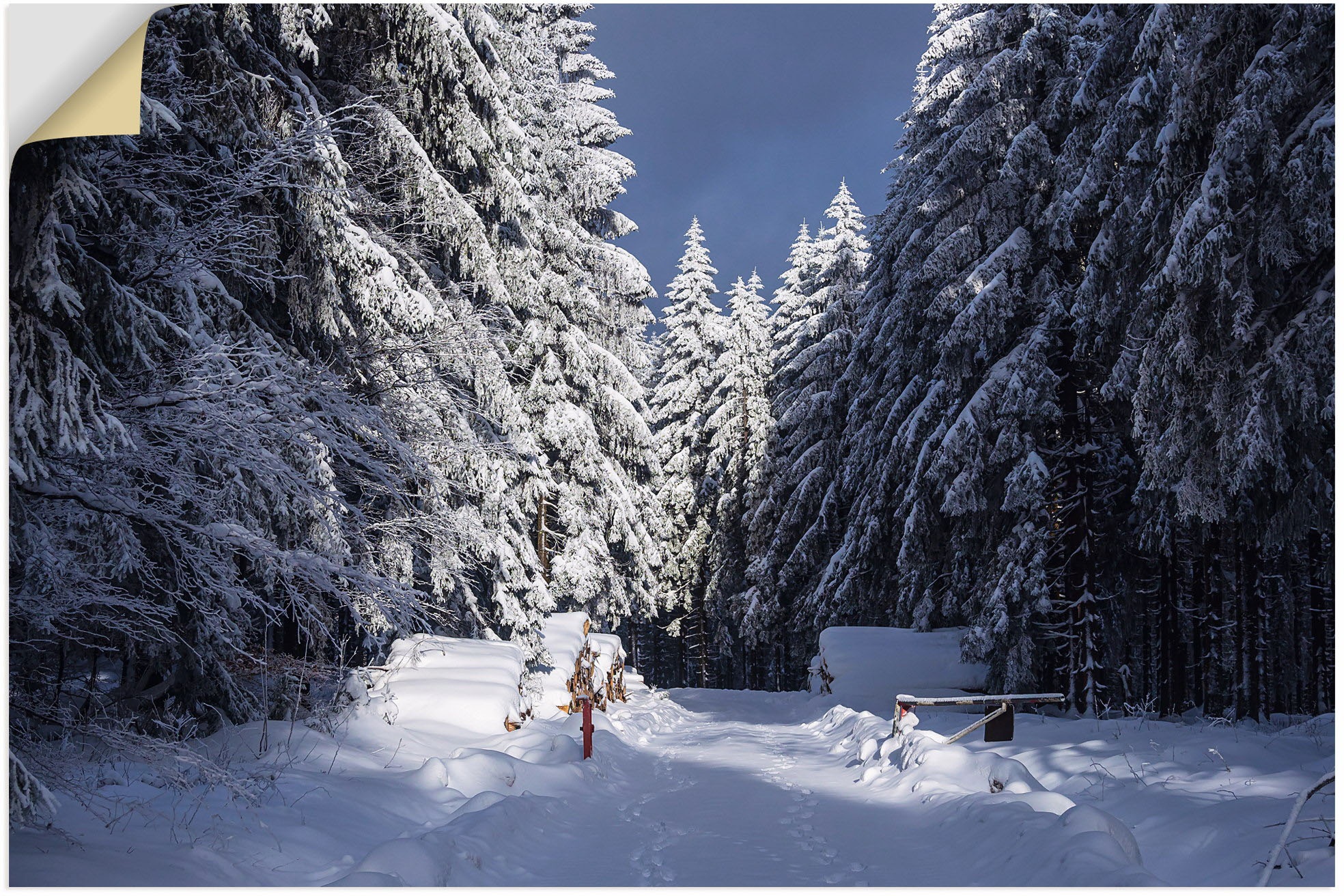 Image of Artland Wandbild »Winter im Thüringer Wald in Schmiedefeld«, Waldbilder, (1 St.), in vielen Grössen & Produktarten - Alubild / Outdoorbild für den Aussenbereich, Leinwandbild, Poster, Wandaufkleber / Wandtattoo auch für Badezimmer geeignet bei Ackermann V