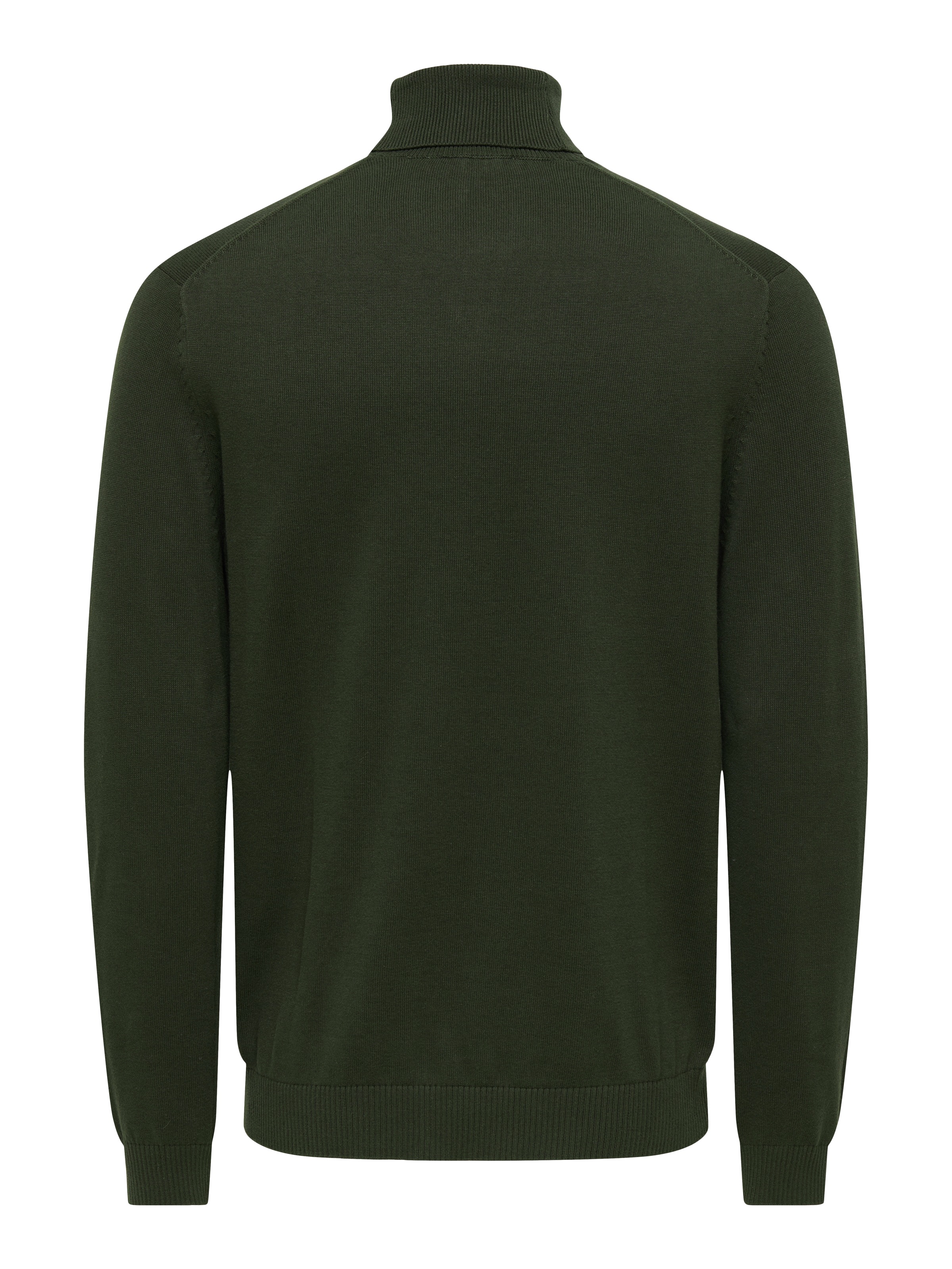 ONLY & SONS Rollkragenpullover »ONSHOLGER REG ROLL NECK KNIT - OTL«