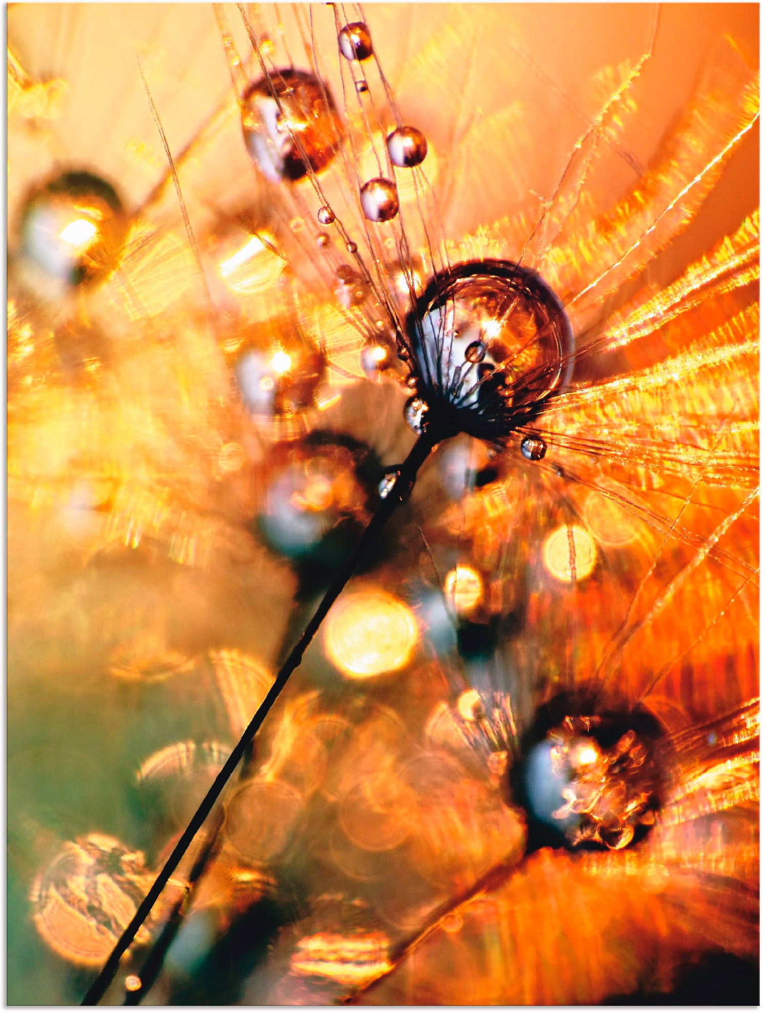 Image of Artland Wandbild »Pusteblume Energy«, Blumen, (1 St.), in vielen Grössen & Produktarten - Alubild / Outdoorbild für den Aussenbereich, Leinwandbild, Poster, Wandaufkleber / Wandtattoo auch für Badezimmer geeignet bei Ackermann Versand Schweiz