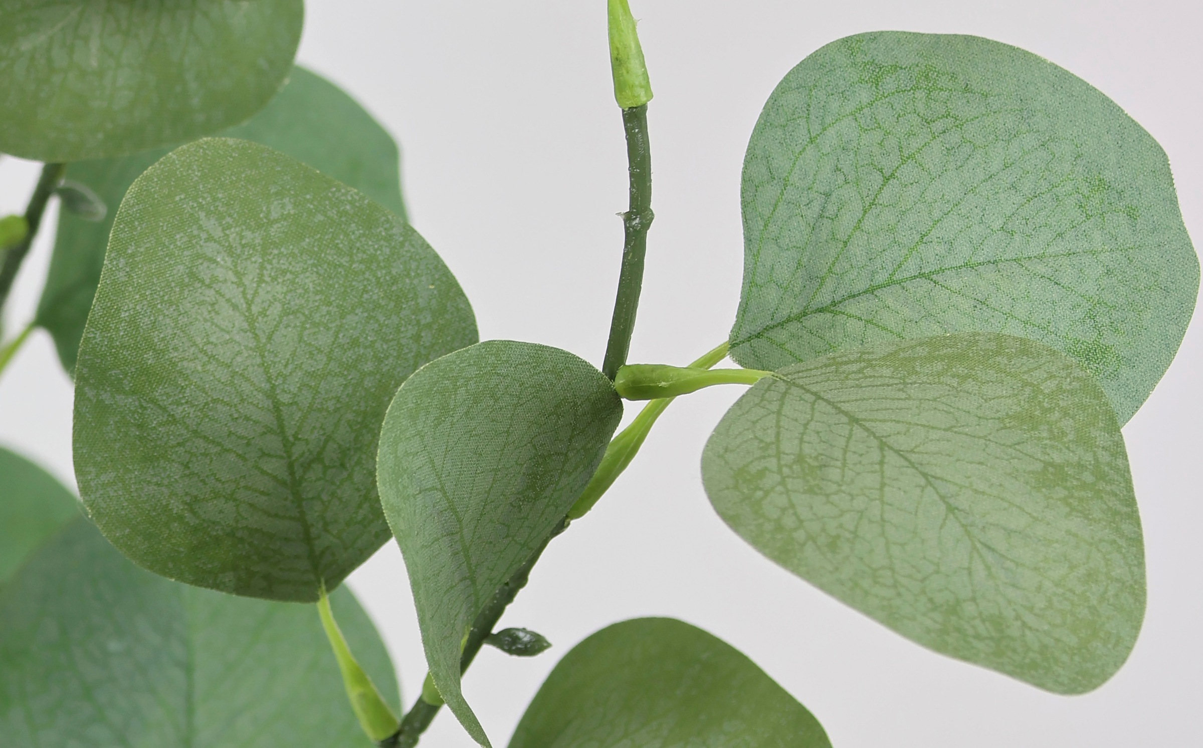 I.GE.A. Kunstpflanze »Kunstbaum Eukalyptus im Topf Pflanze Deko Strauch Busch«, Kunstblume Künstlich Grünpflanzen Silber Dollar Blätter