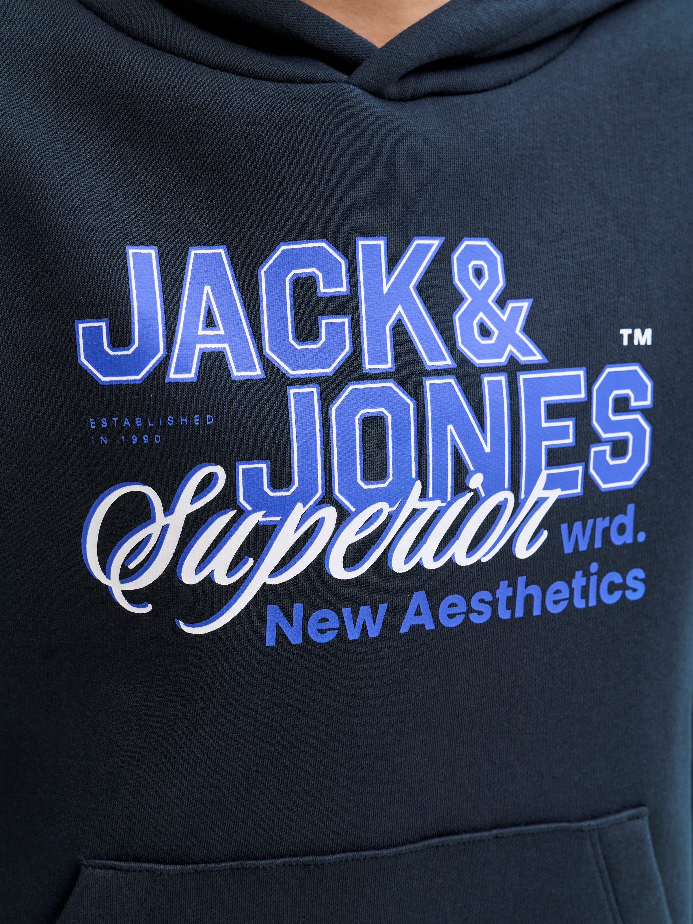 Jack & Jones Junior Sweat à capuche »JJELOGO SWEAT HOOD 2 COL AW25 NOOS JNR«
