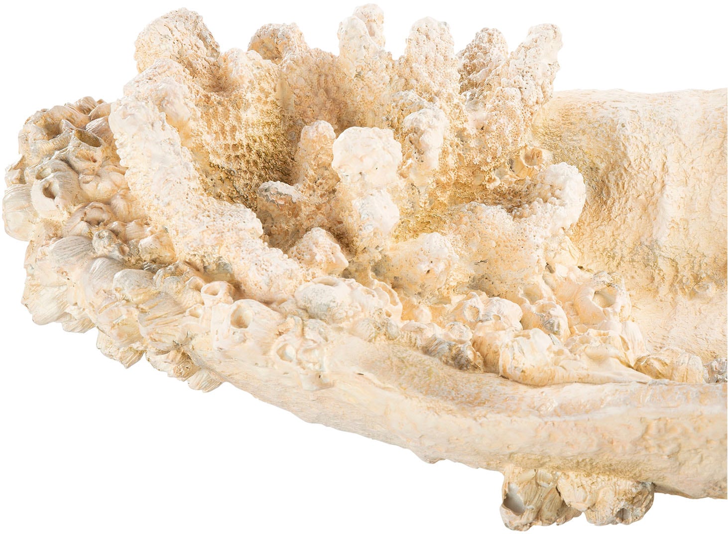 GILDE Dekoschale »Schale Amphora Seychelles weiss H. 10,5 cm«