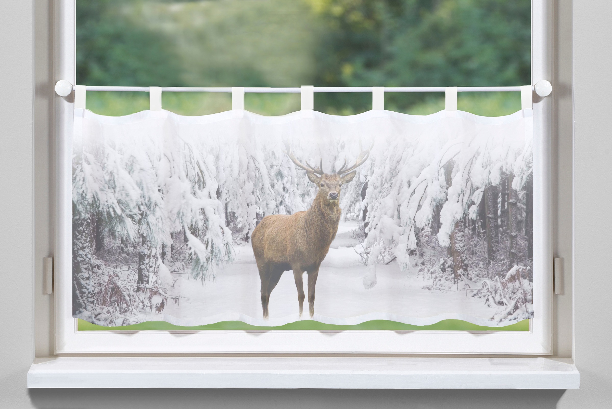 Image of HOME WOHNIDEEN Scheibengardine »IMPOSA«, (1 St.), aufwendiges Digitaldruckverfahren bei Ackermann Versand Schweiz