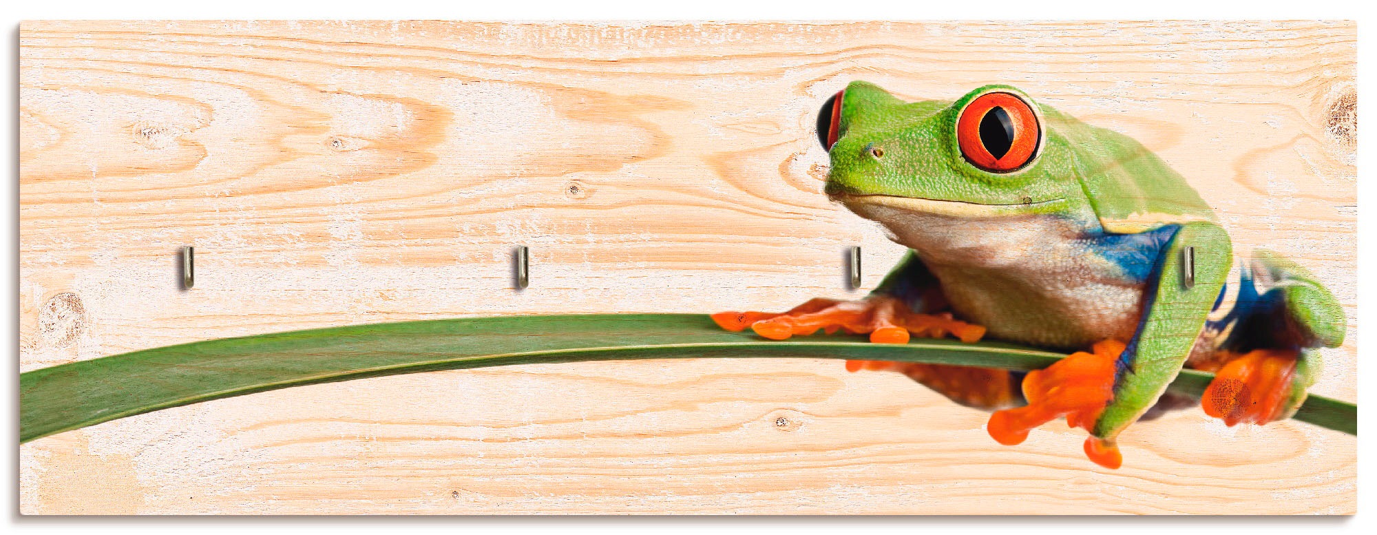 Image of Artland Hakenleiste »Frosch auf einem Blatt«, aus Holz mit 4 Schlüsselhaken – Schlüsselboard, Schlüsselbretter, Schlüsselhalter, Schlüsselaufhänger für den Flur – Stil: Modern bei Ackermann Versand Schweiz